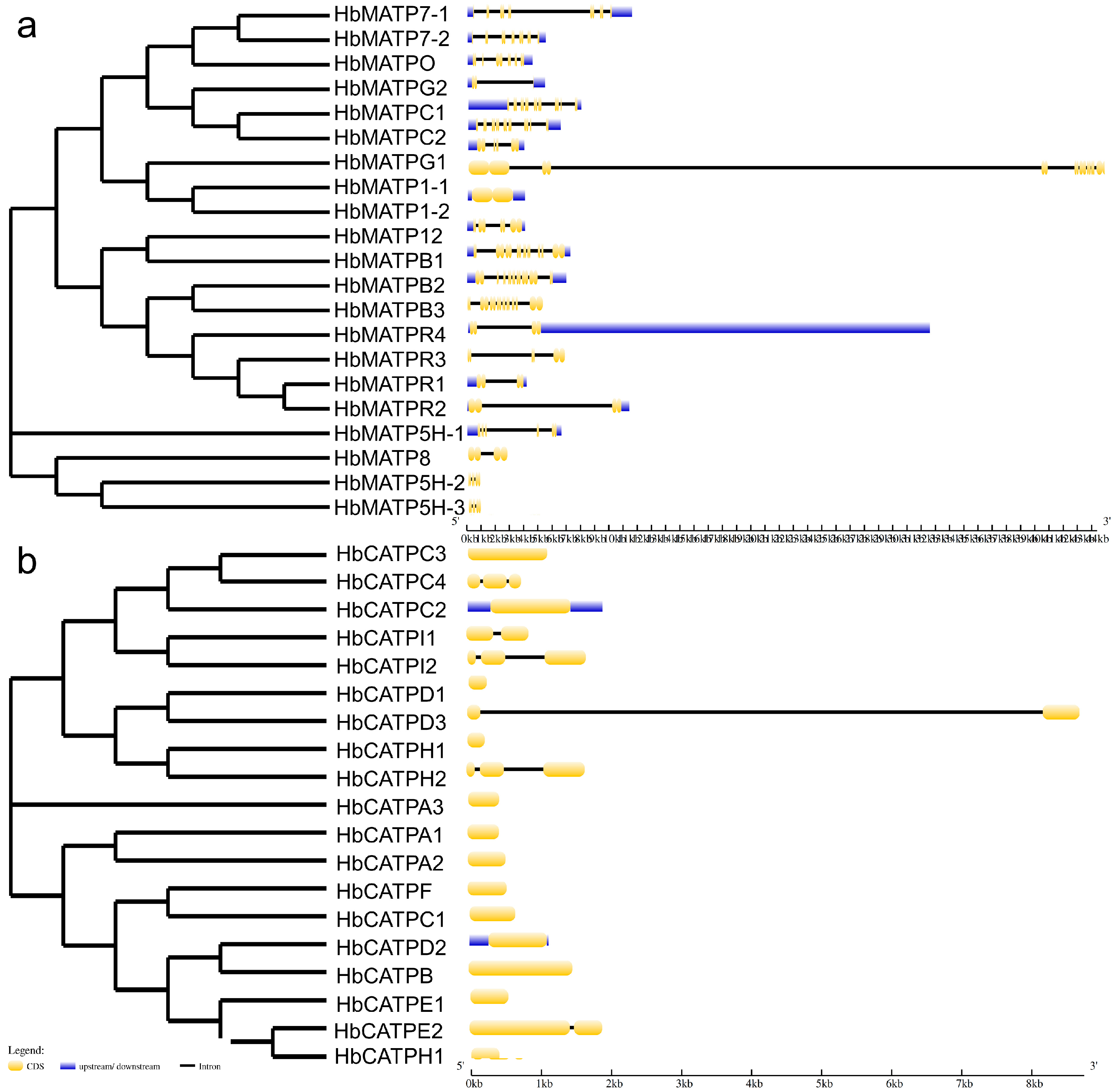 Plants 14 00604 g003