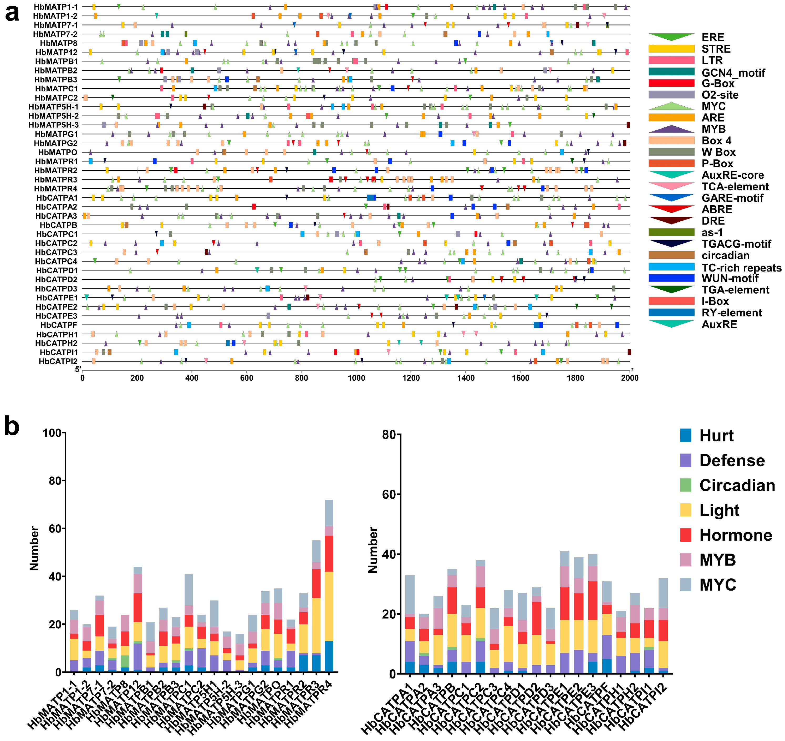 Plants 14 00604 g004