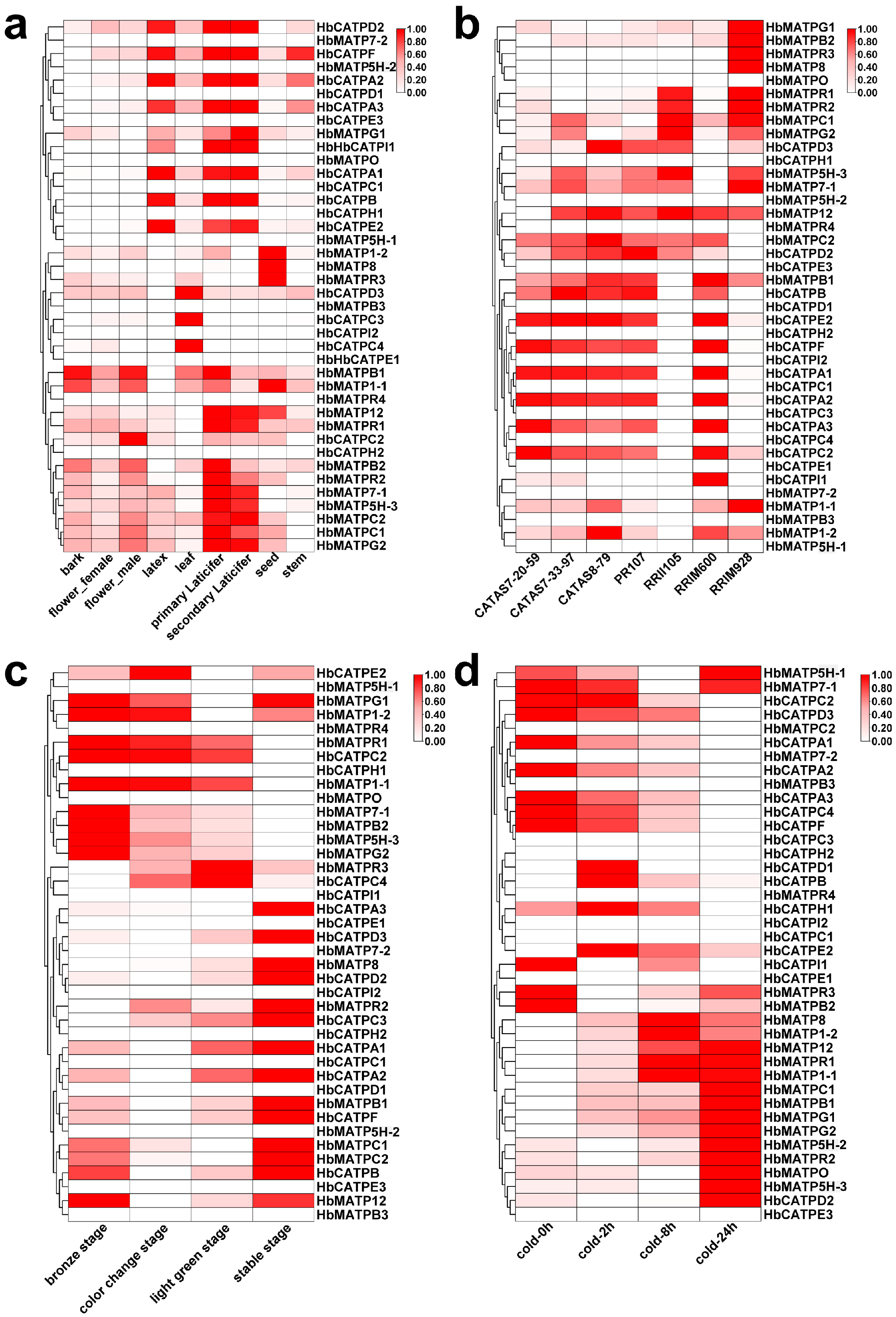 Plants 14 00604 g005