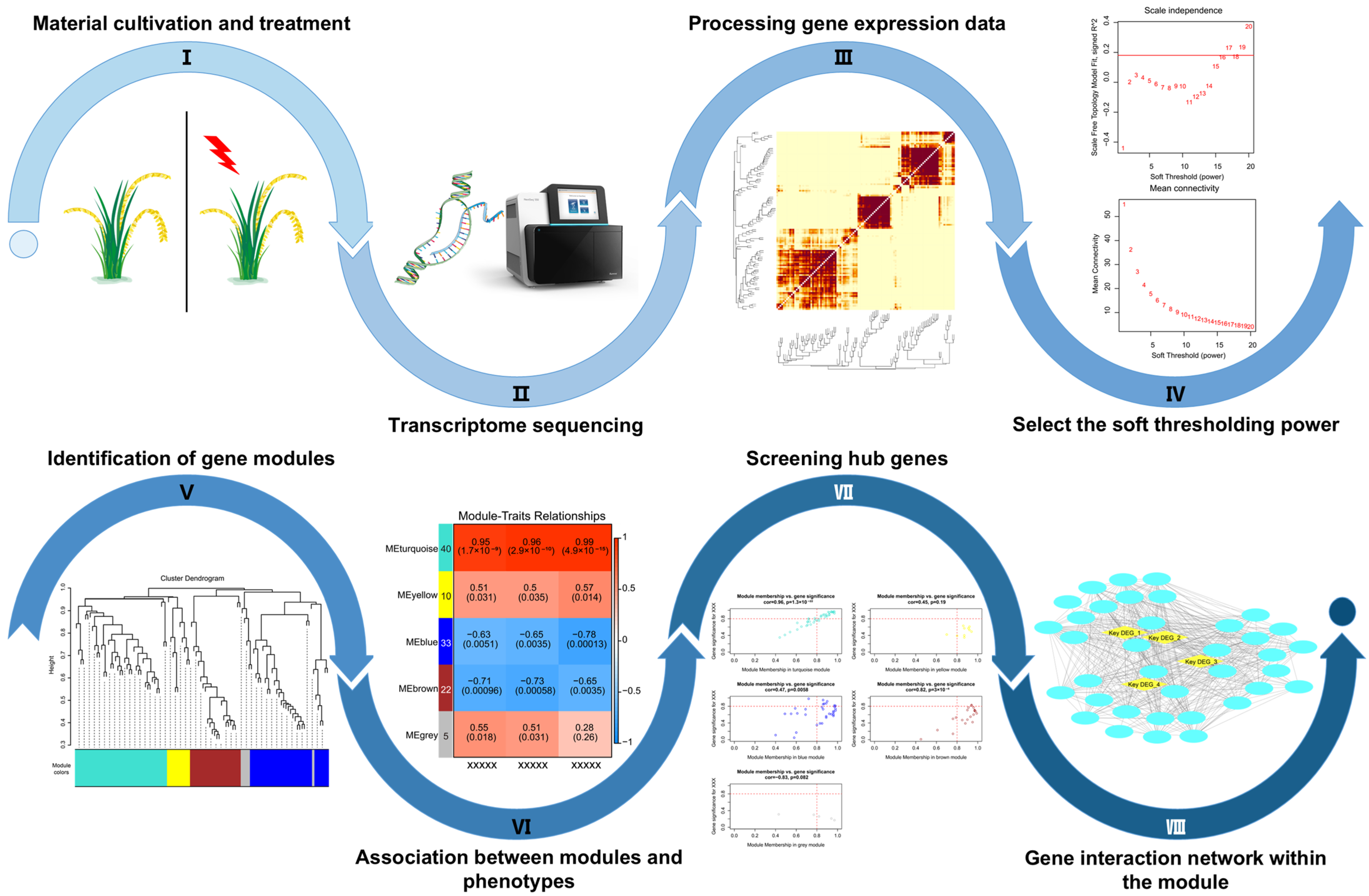 Plants 14 00606 g002