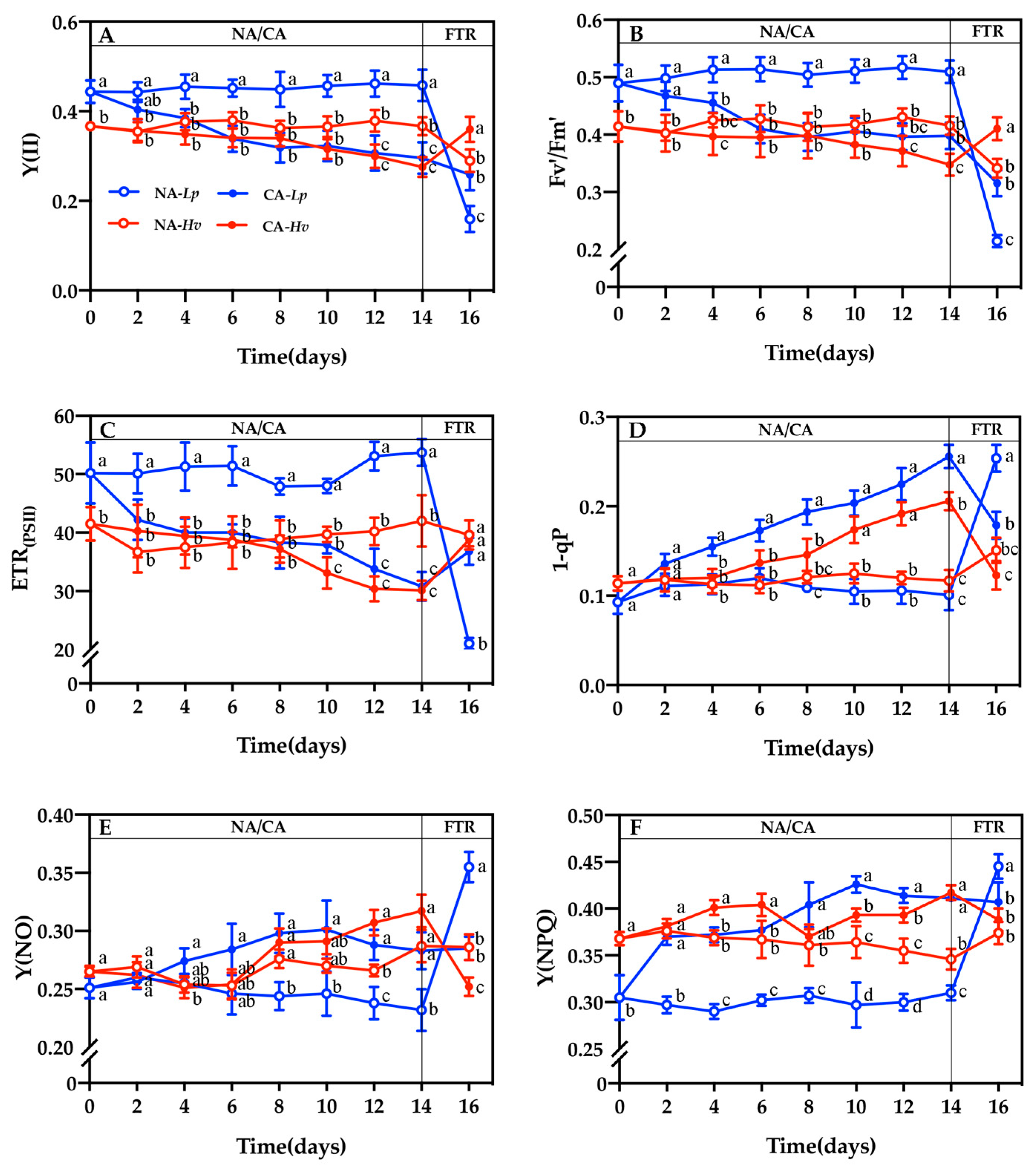 Plants 14 00607 g003