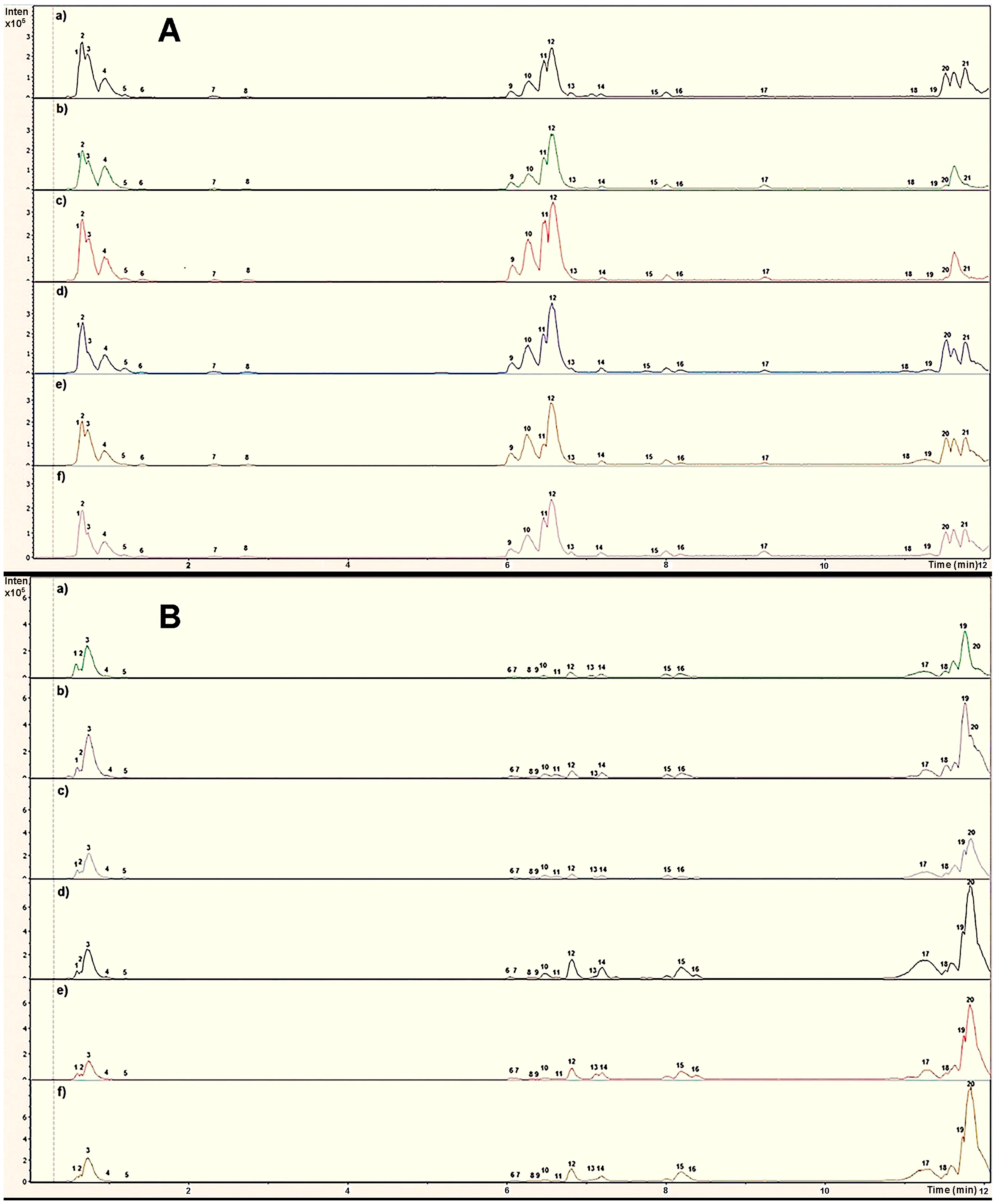 Plants 14 00608 g001