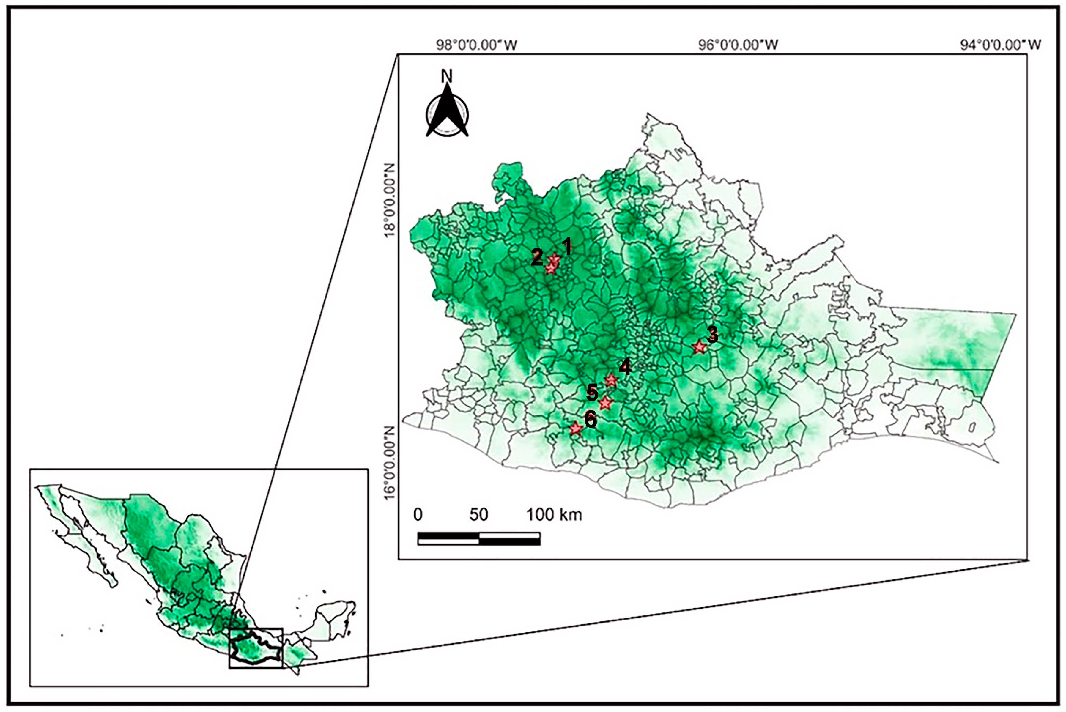 Plants 14 00608 g005