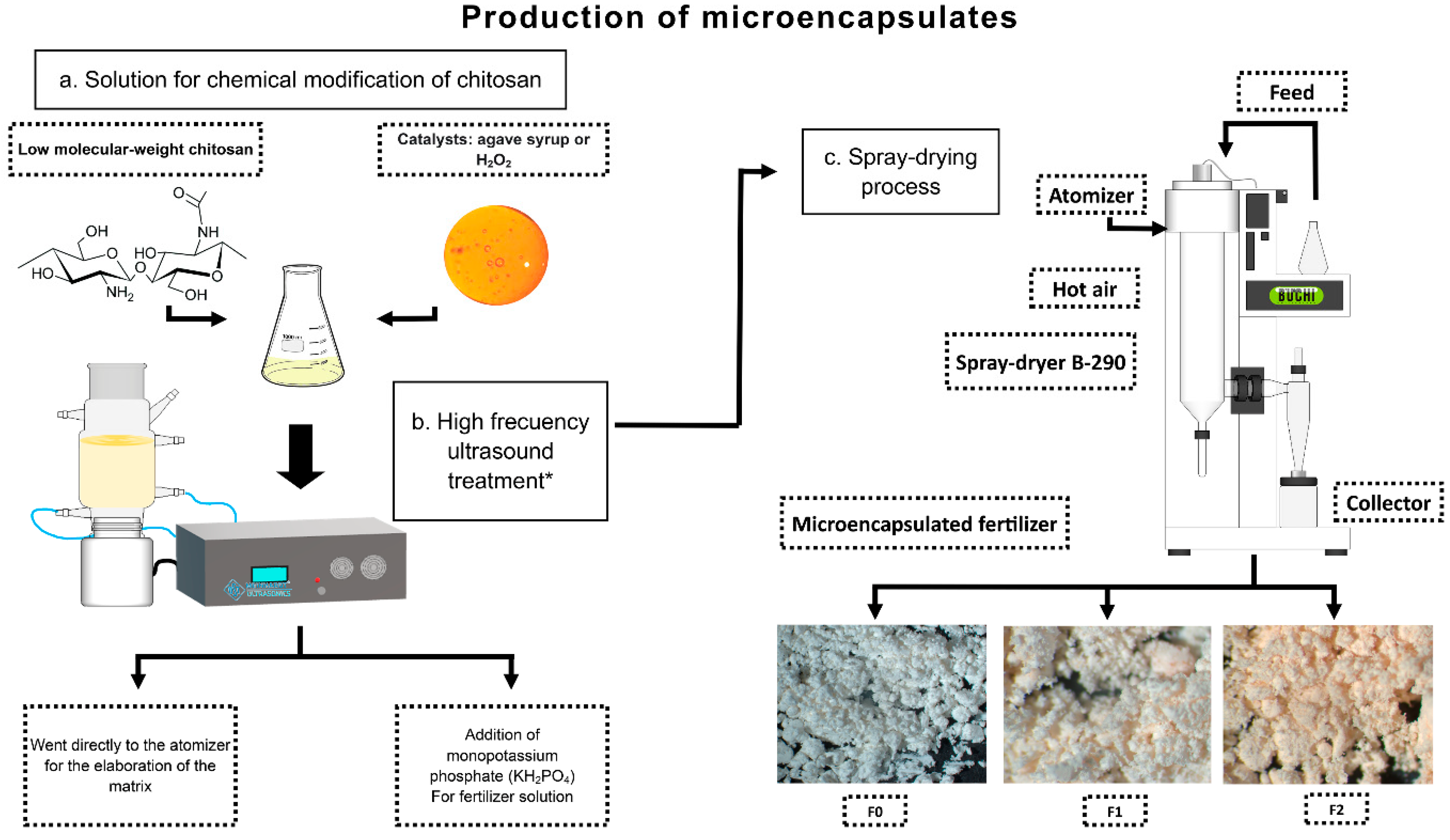 Plants 14 00610 g001