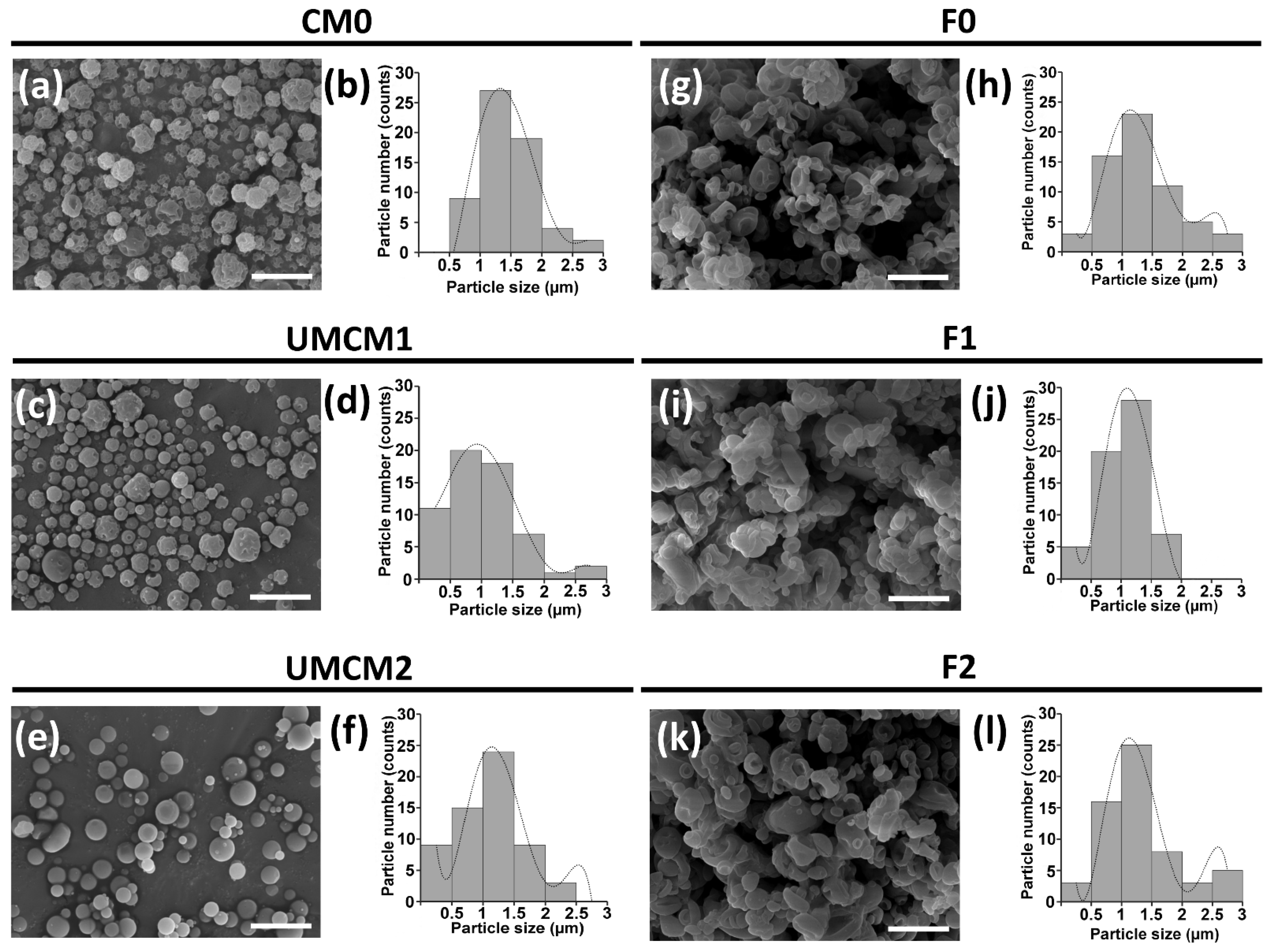 Plants 14 00610 g002