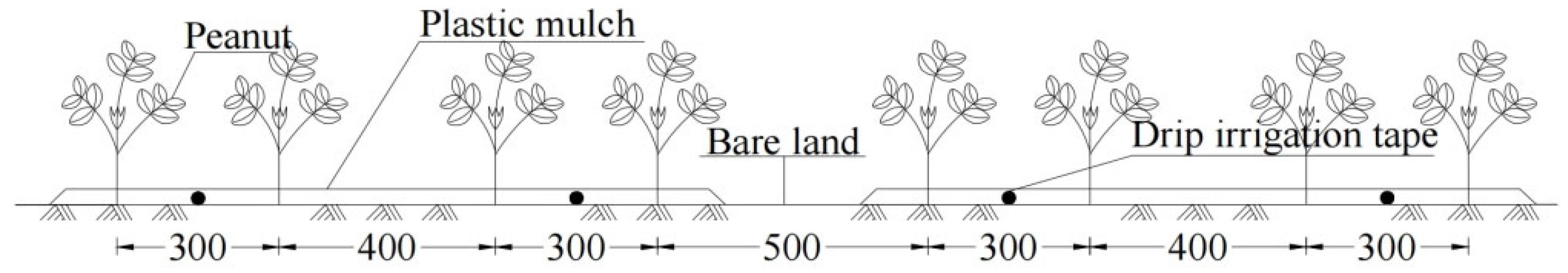 Plants 14 00614 g002