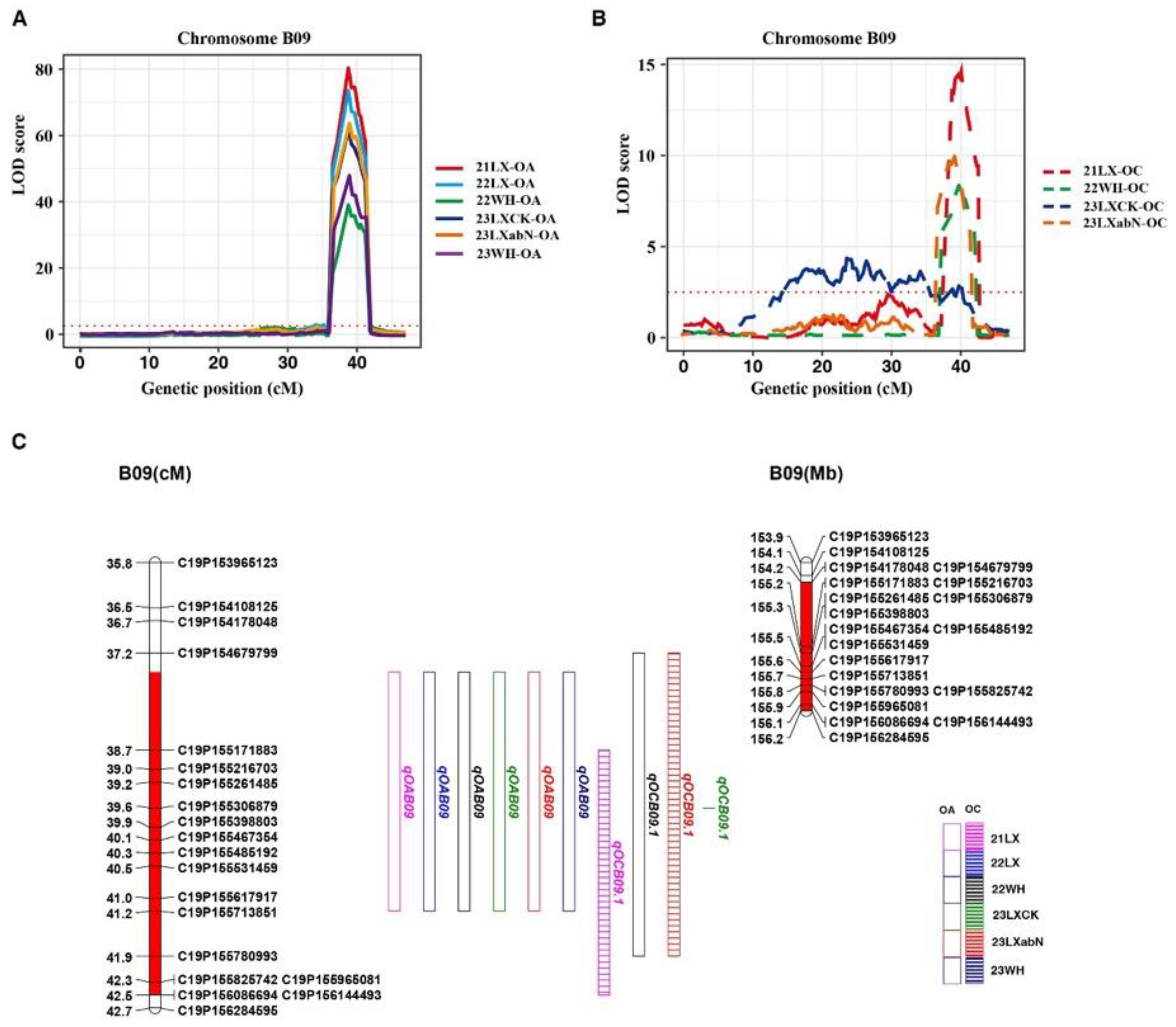Plants 14 00615 g002