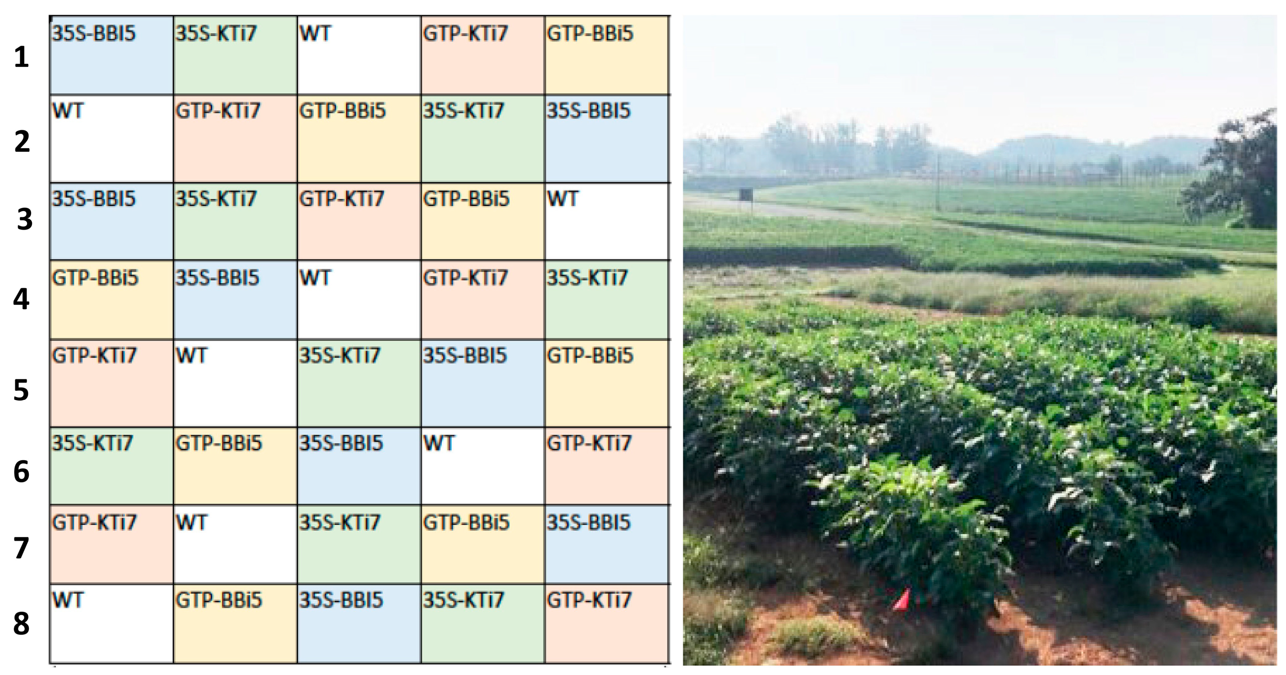 Plants 14 00617 g002