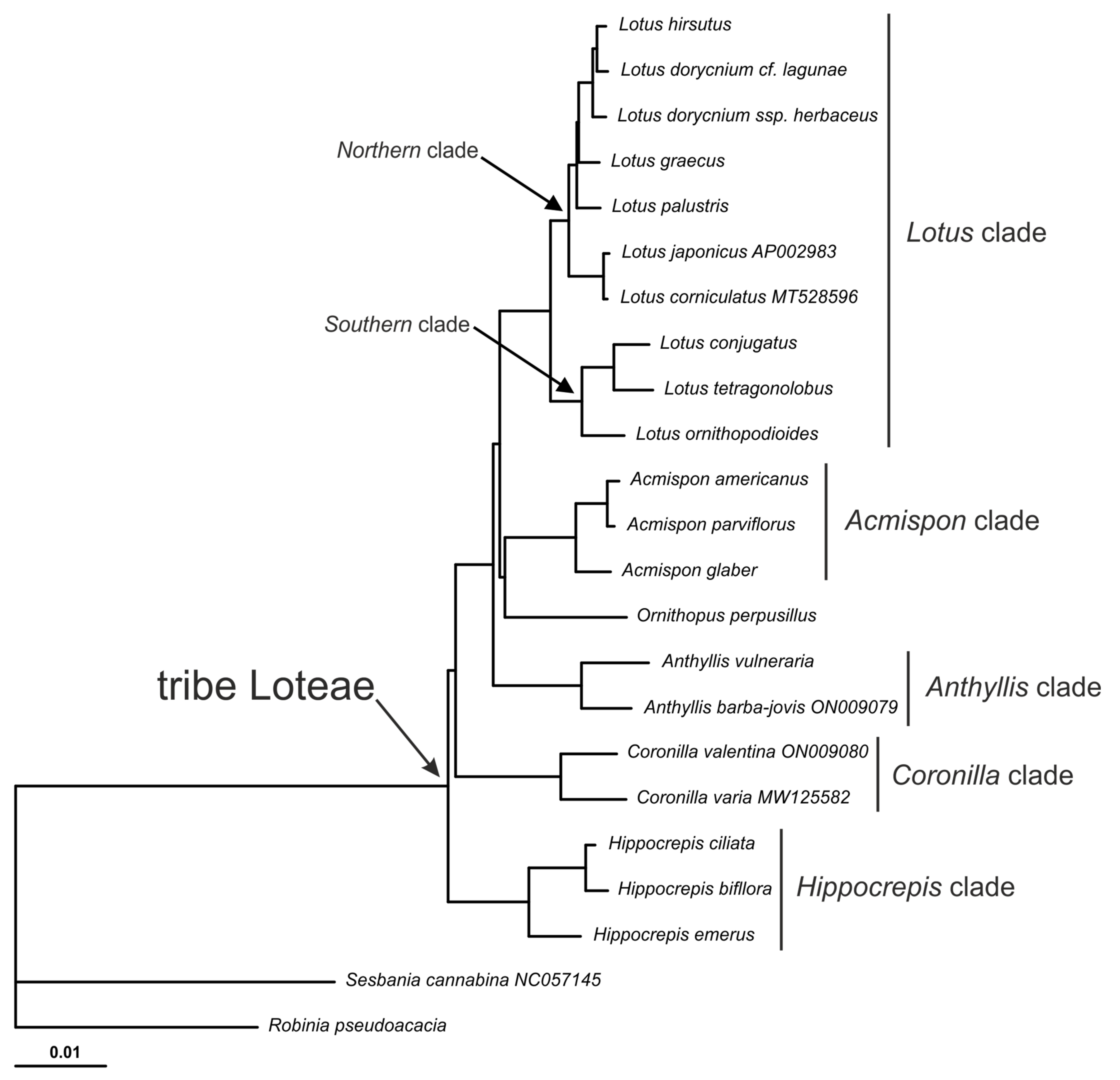 Plants 14 00618 g004