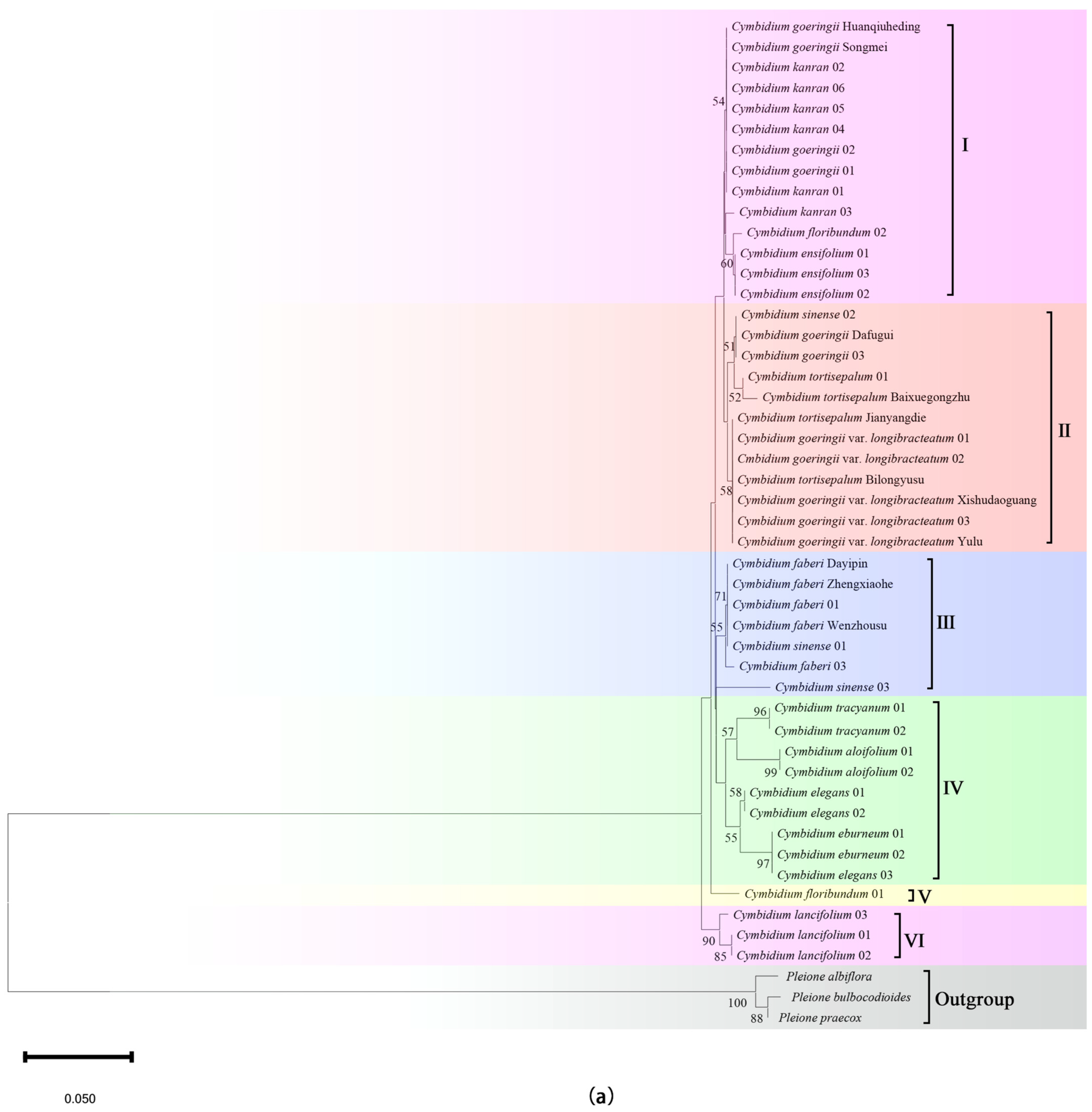 Plants 14 00619 g003a