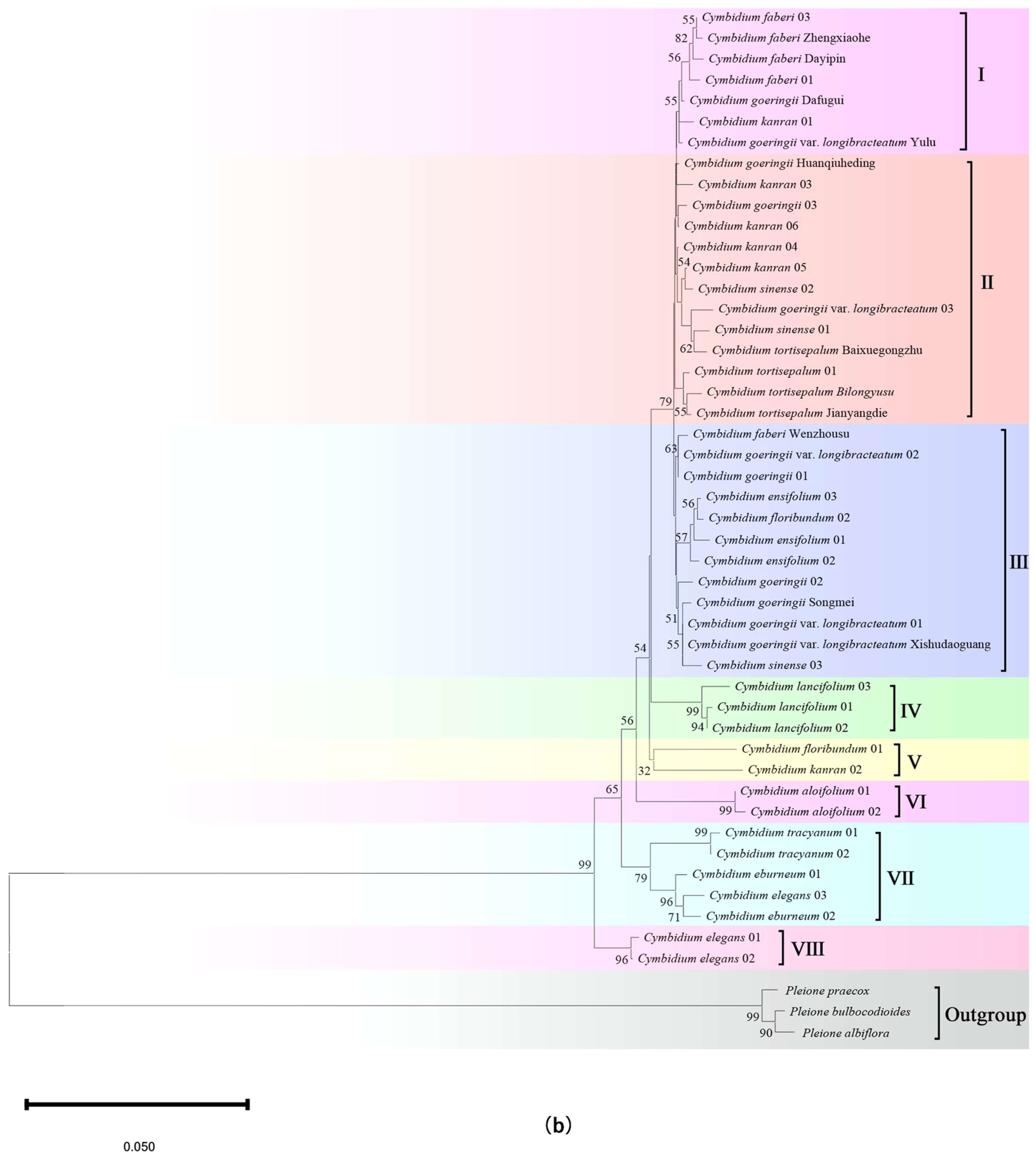 Plants 14 00619 g003b