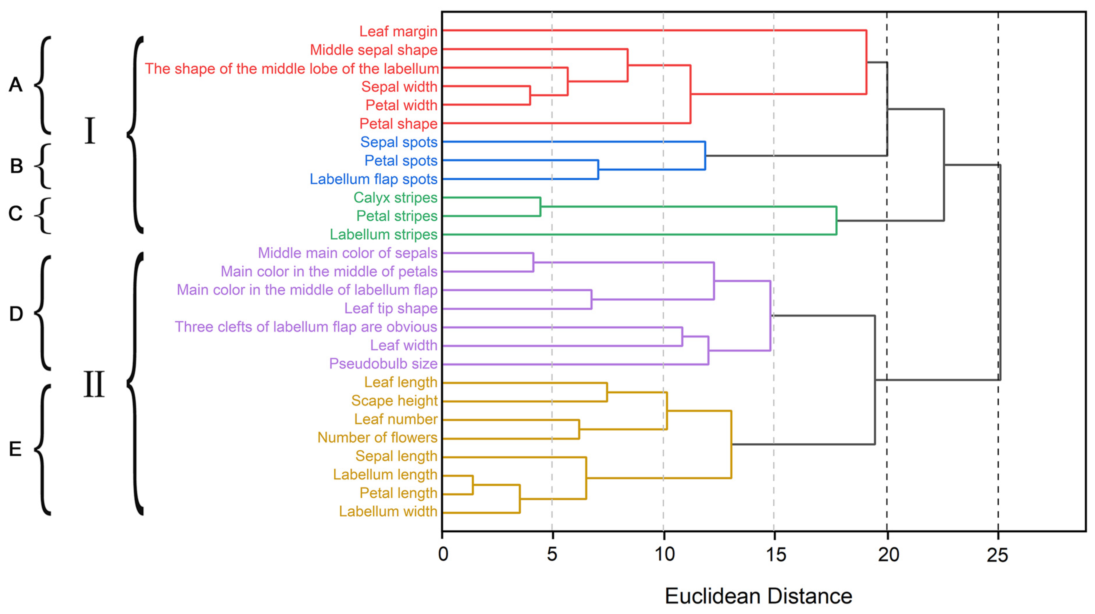 Plants 14 00619 g006