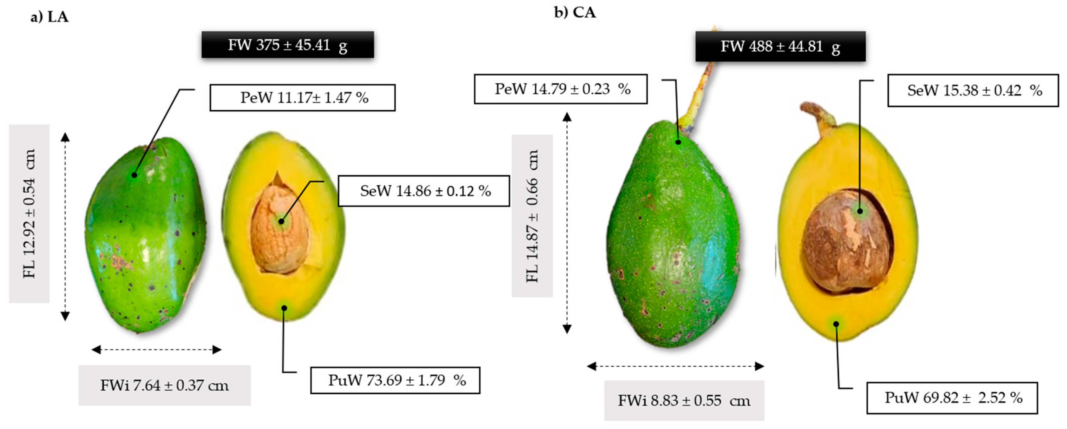 Plants 14 00624 g001