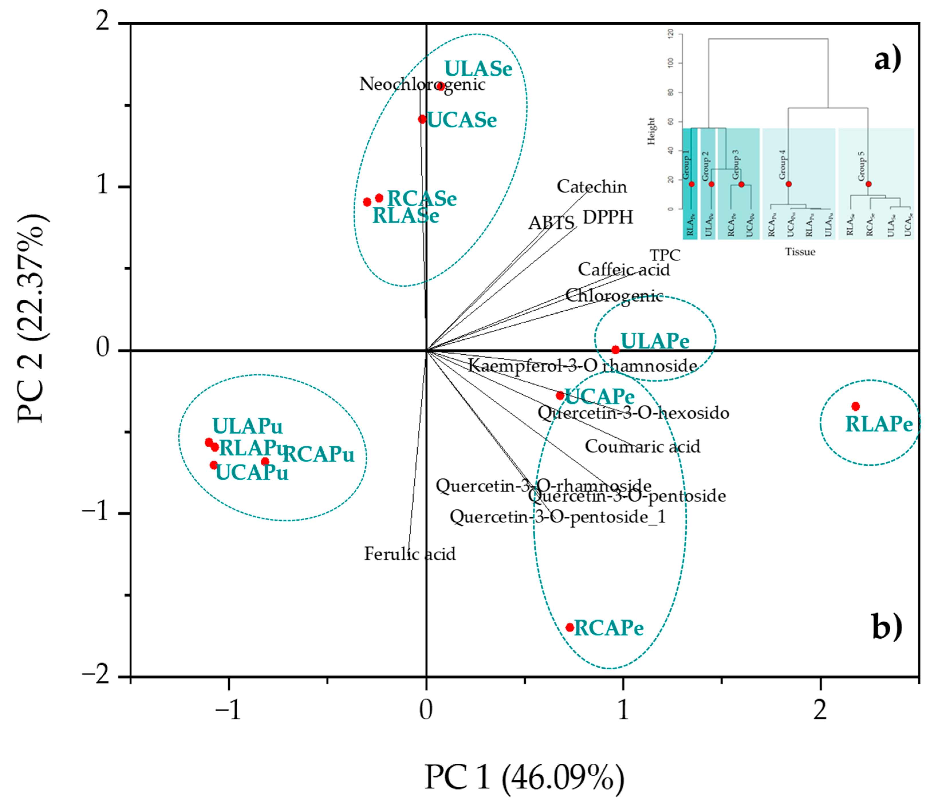 Plants 14 00624 g004