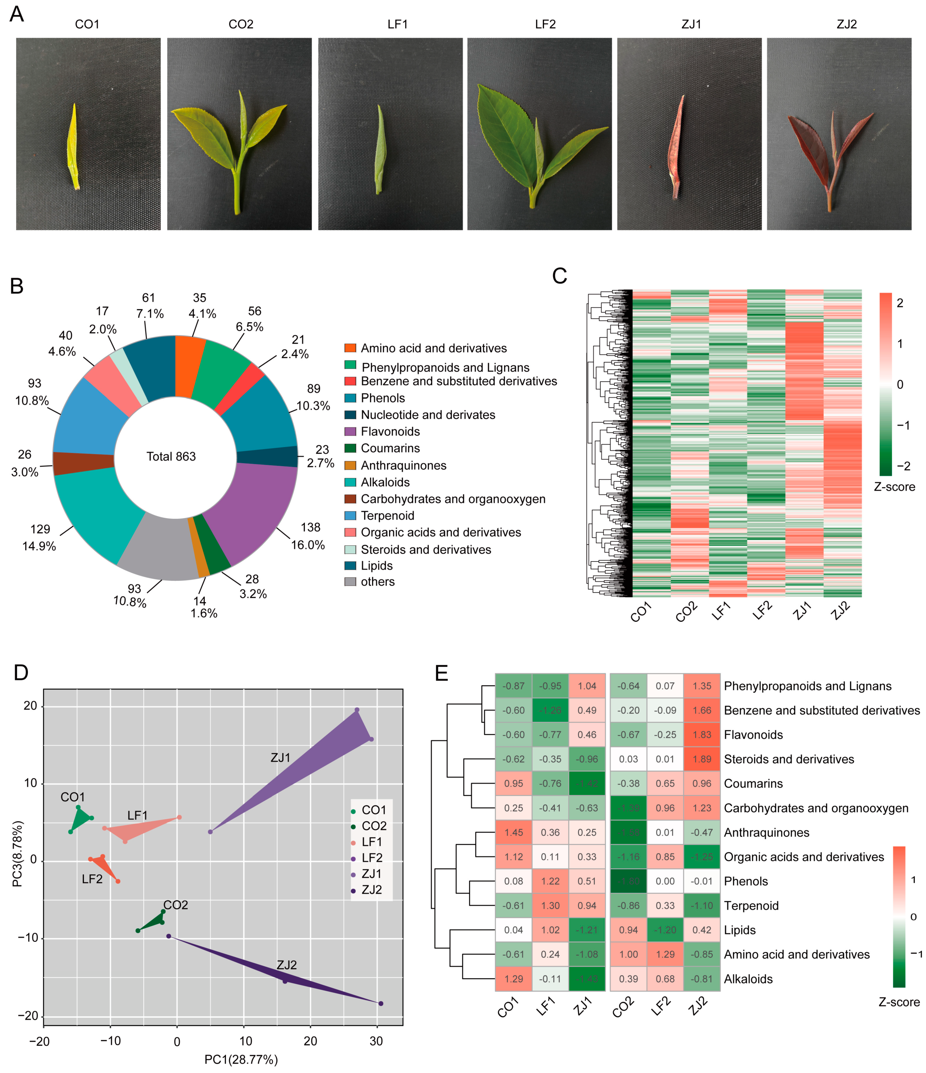 Plants 14 00625 g001