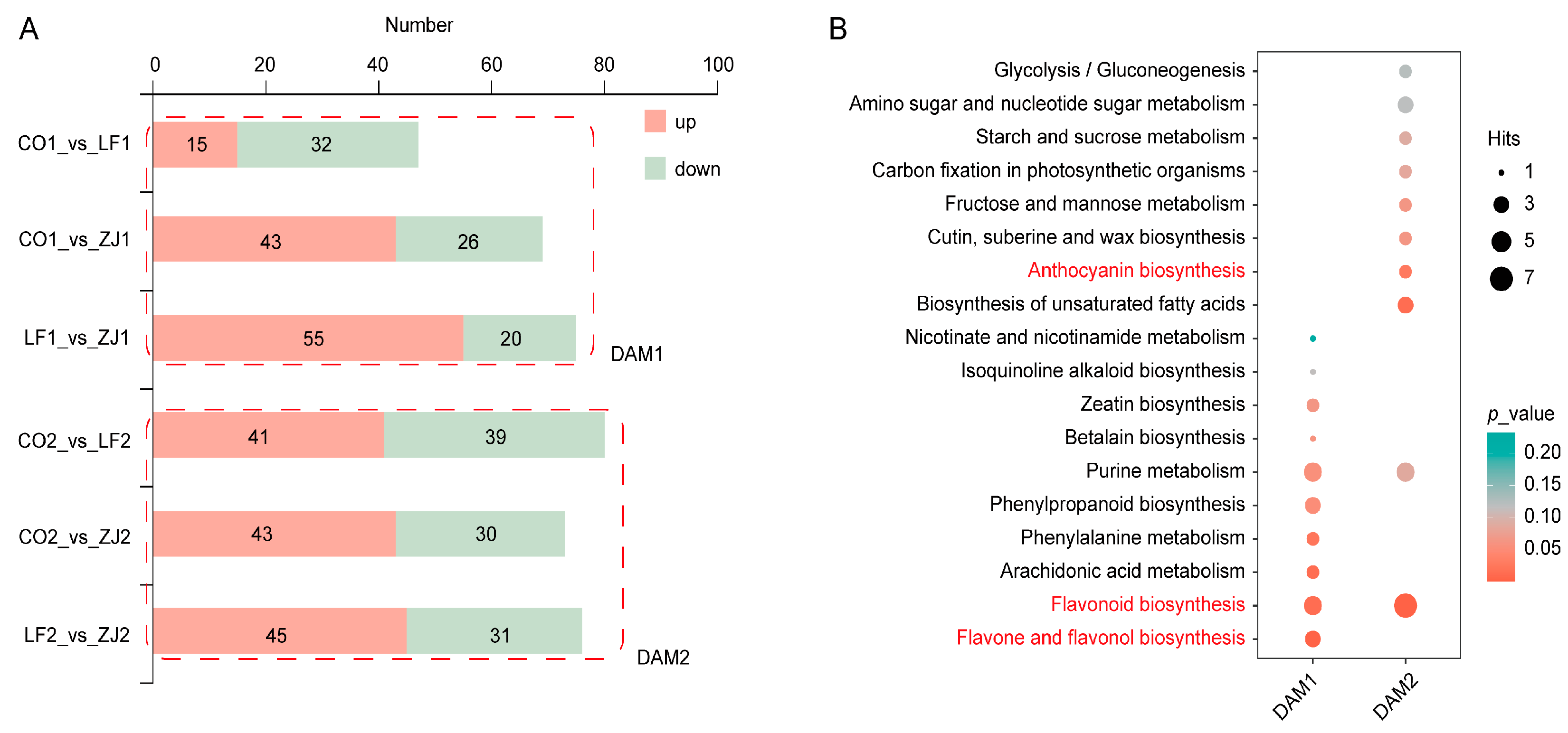 Plants 14 00625 g002