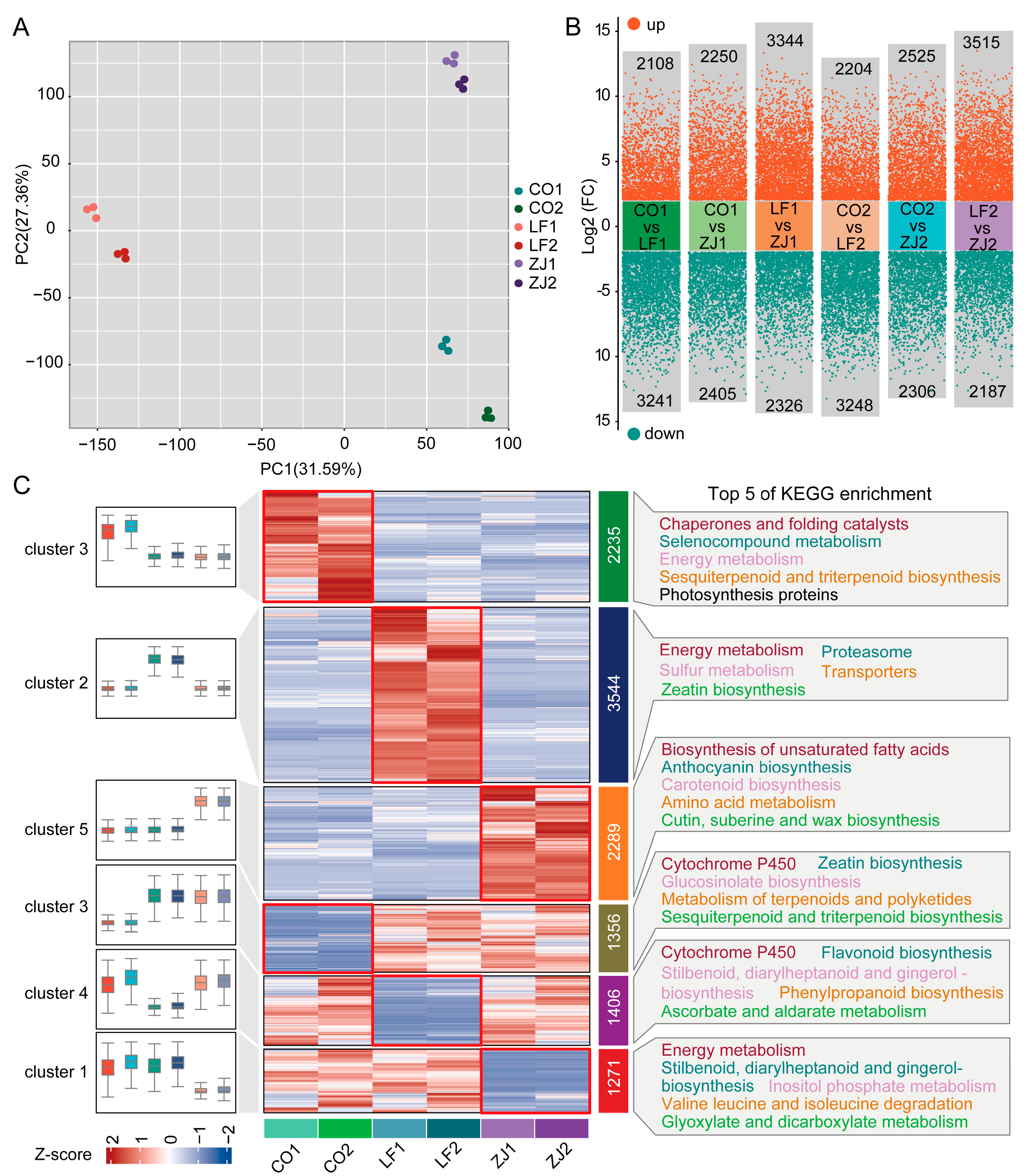 Plants 14 00625 g005