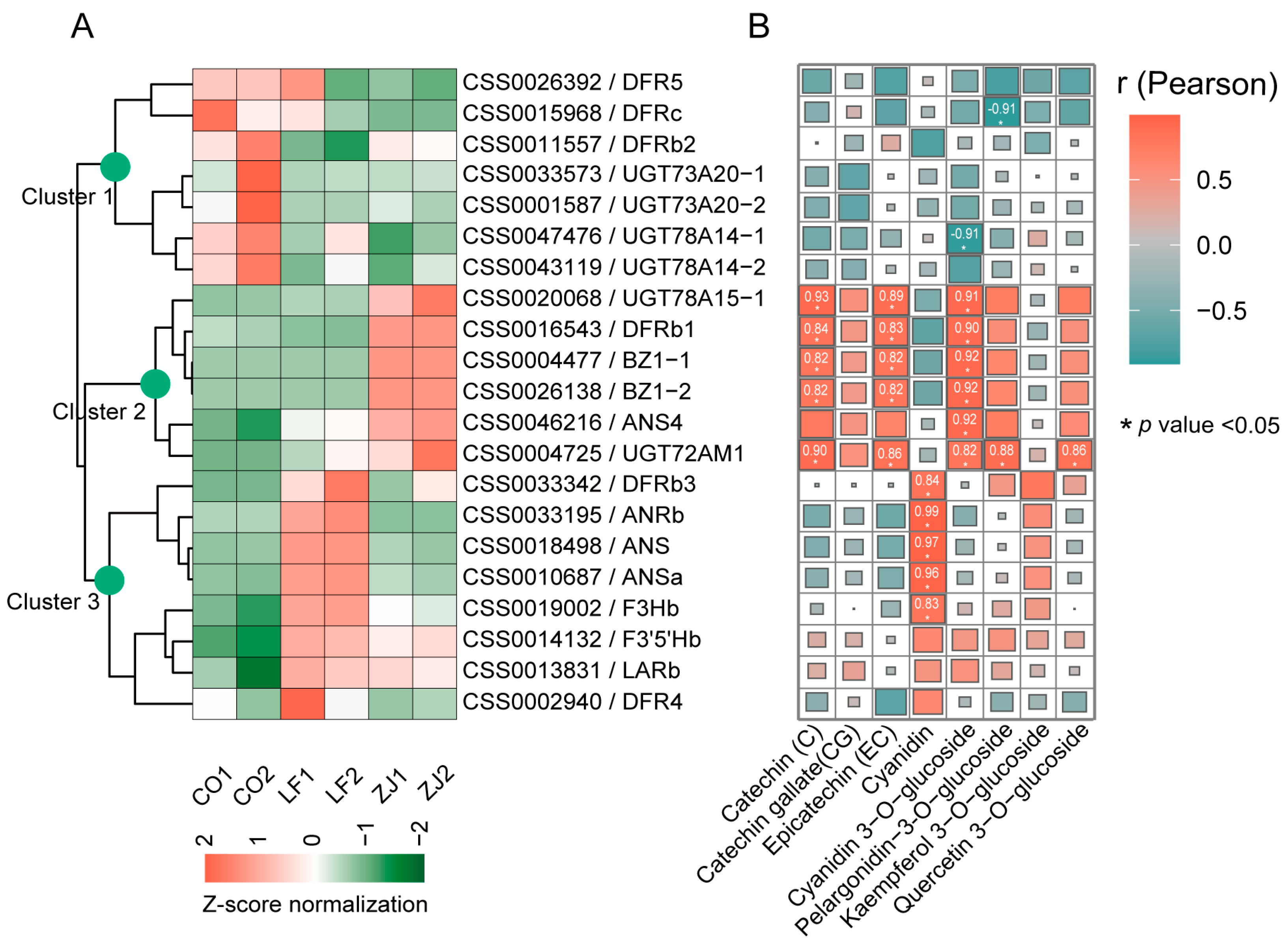 Plants 14 00625 g006