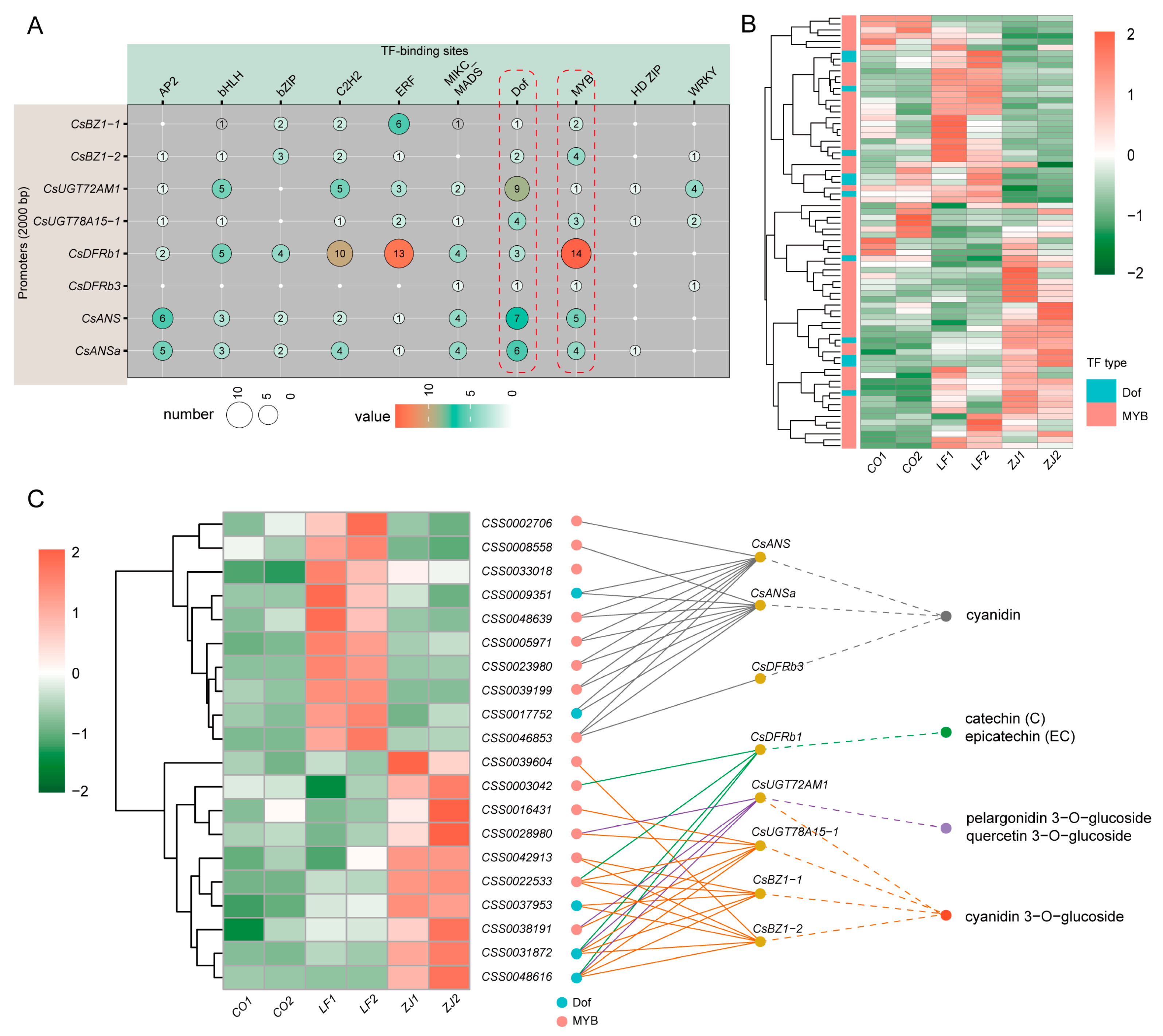 Plants 14 00625 g007