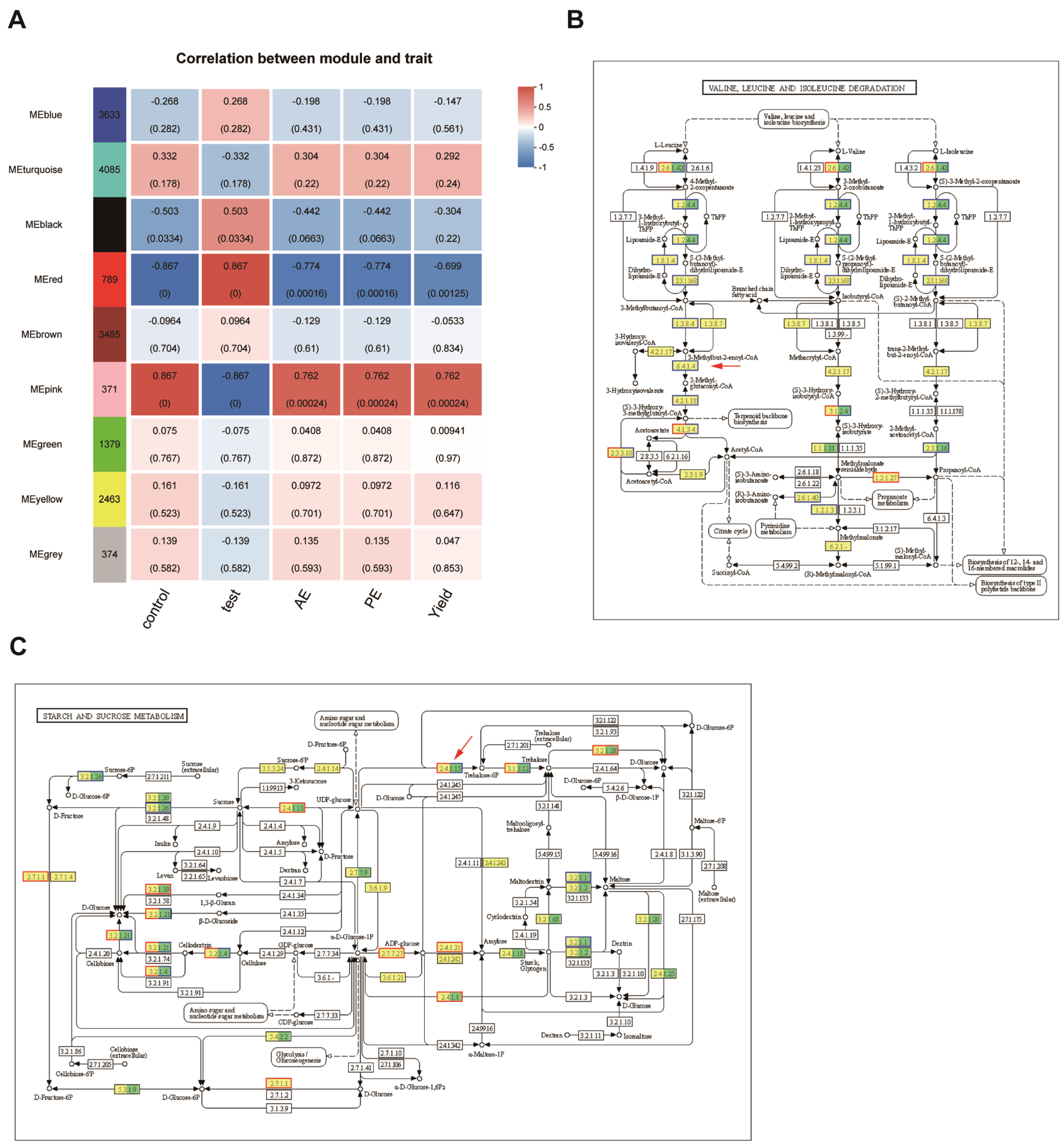 Plants 14 00633 g005