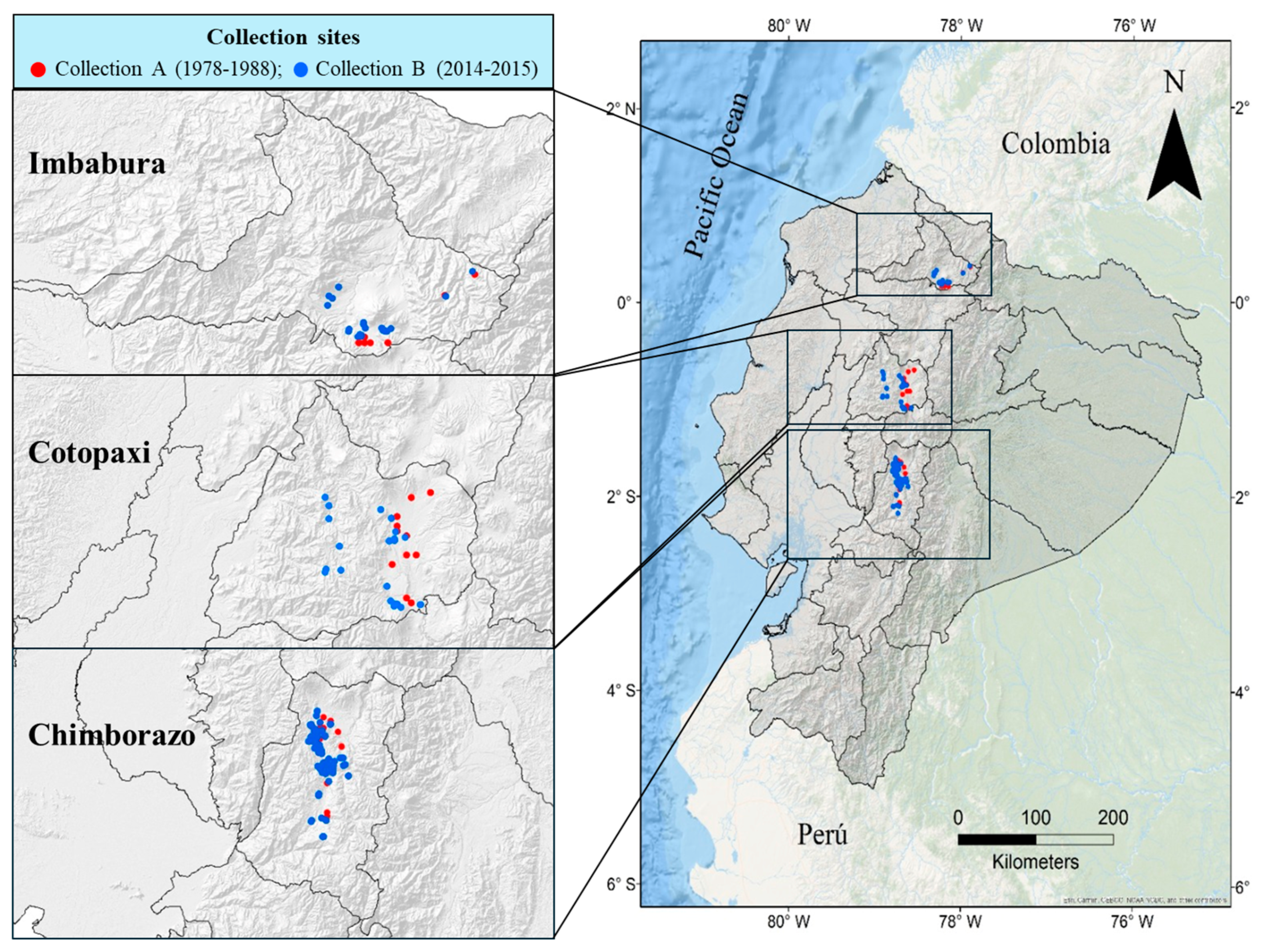 Plants 14 00635 g003