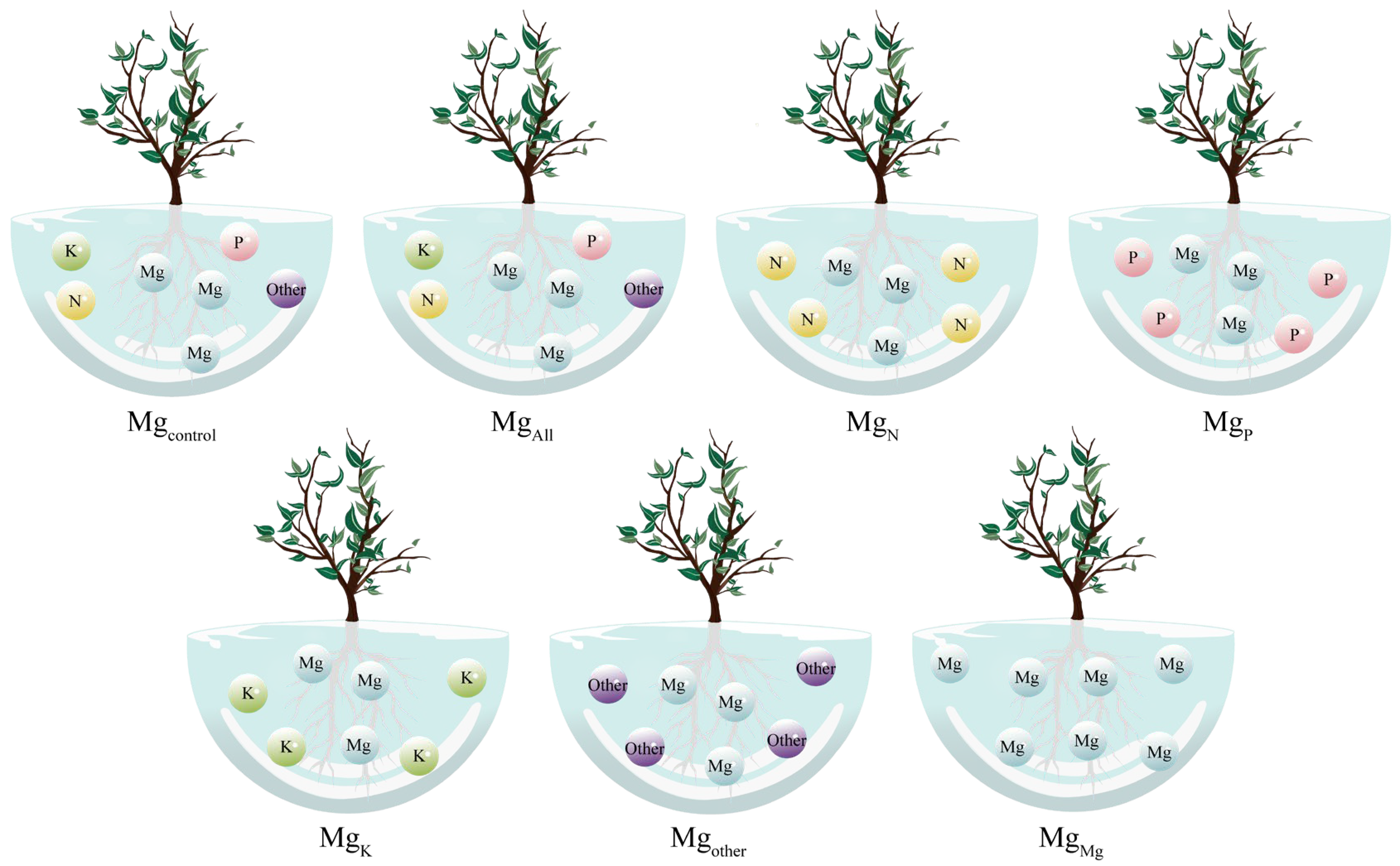 Plants 14 00643 g006