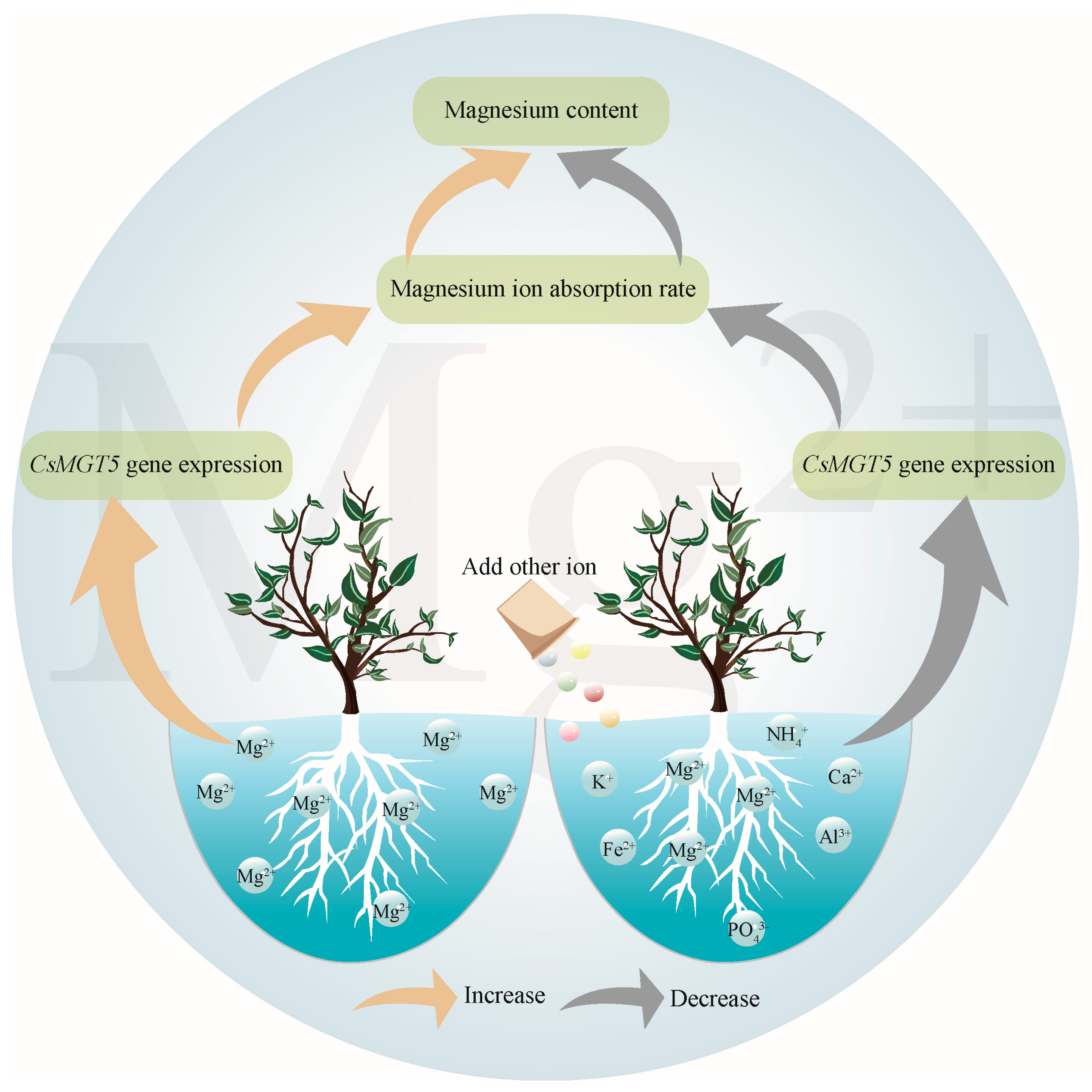 Plants 14 00643 g007