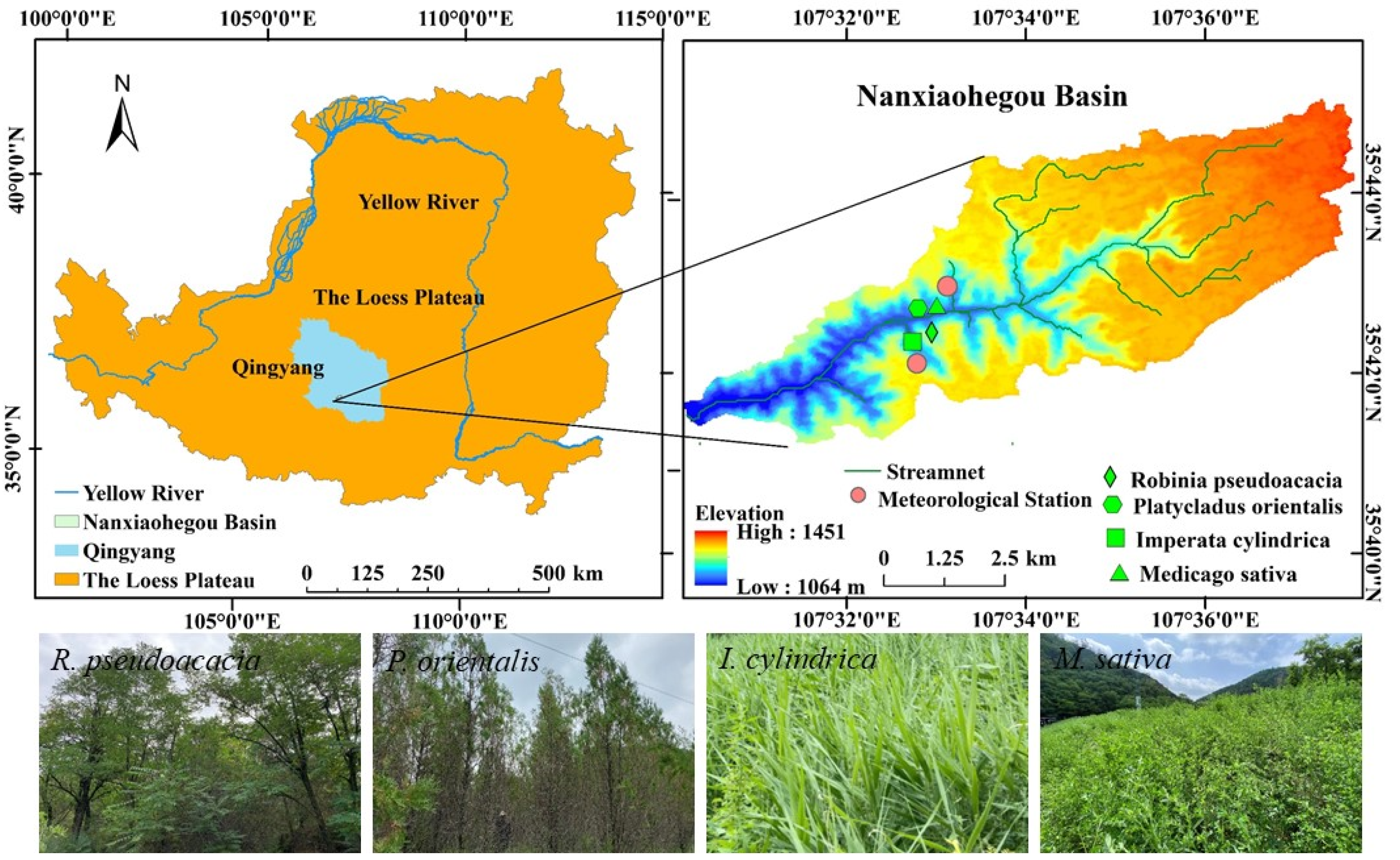 Plants 14 00644 g001