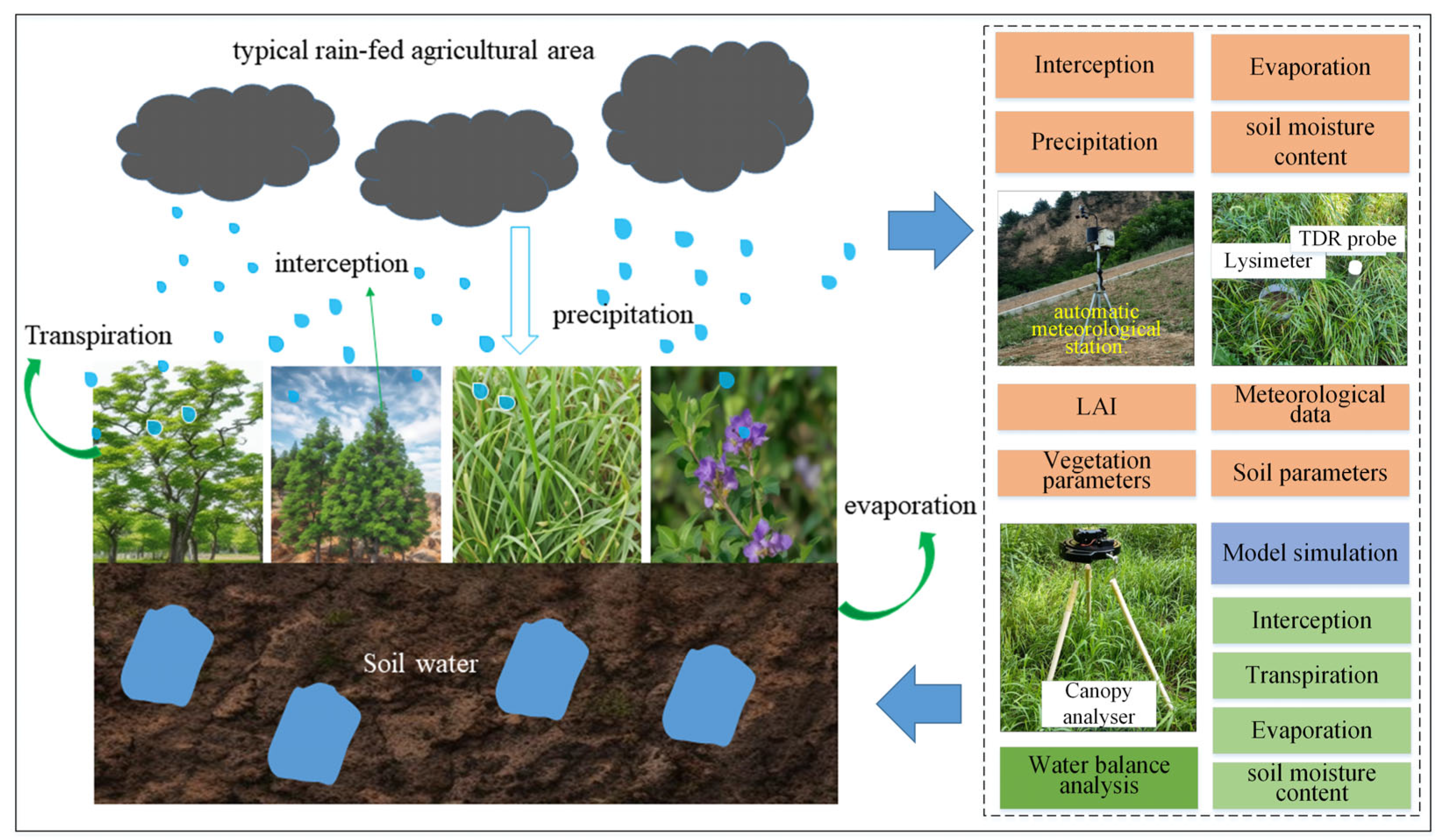Plants 14 00644 g002