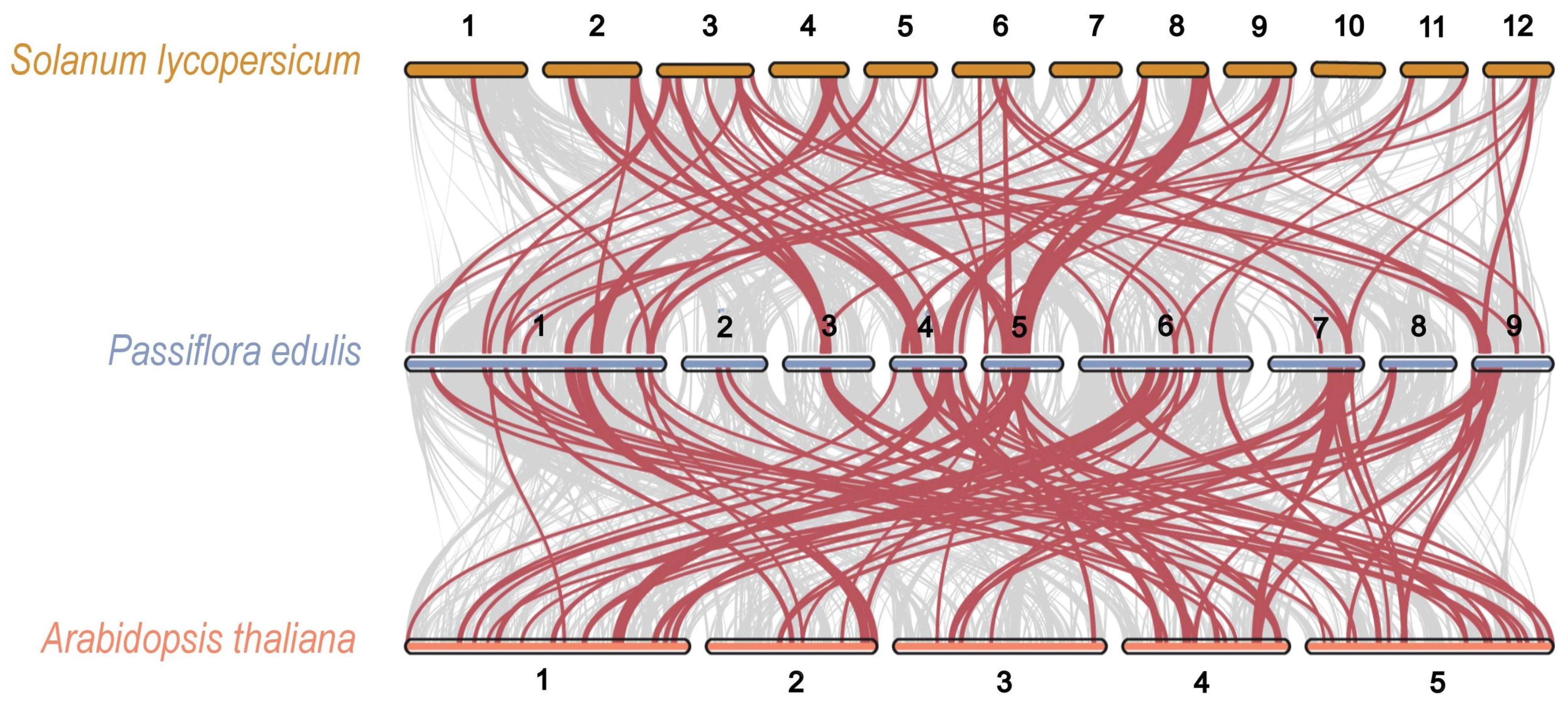 Plants 14 00645 g003