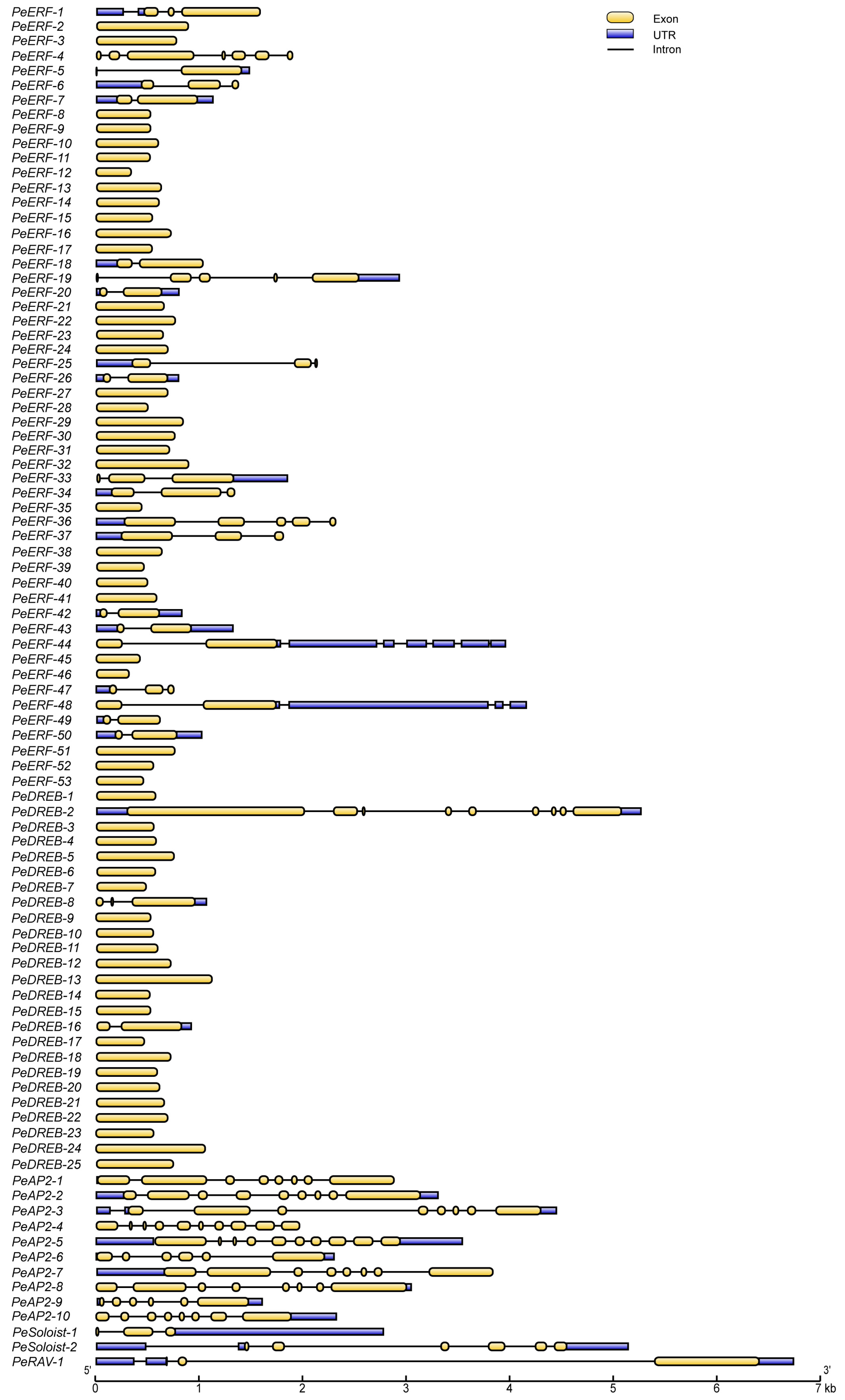 Plants 14 00645 g004