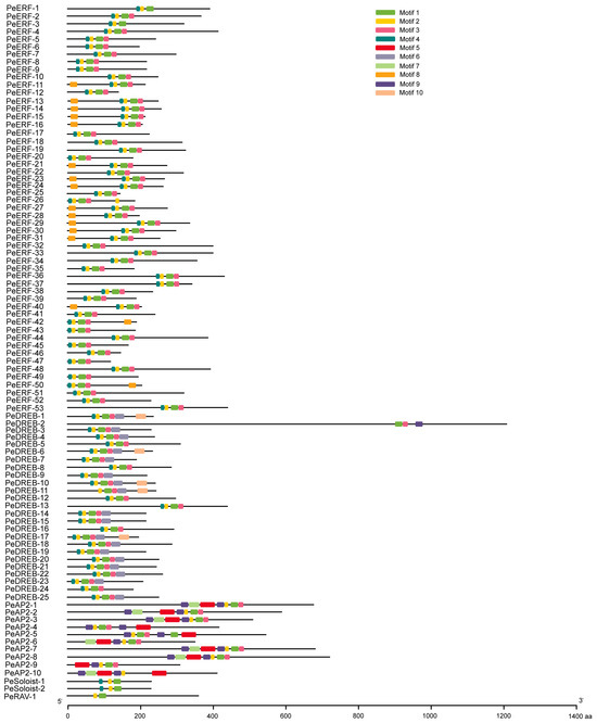 Genome-Wide Identification and Functional Analysis of AP2/ERF Gene ...