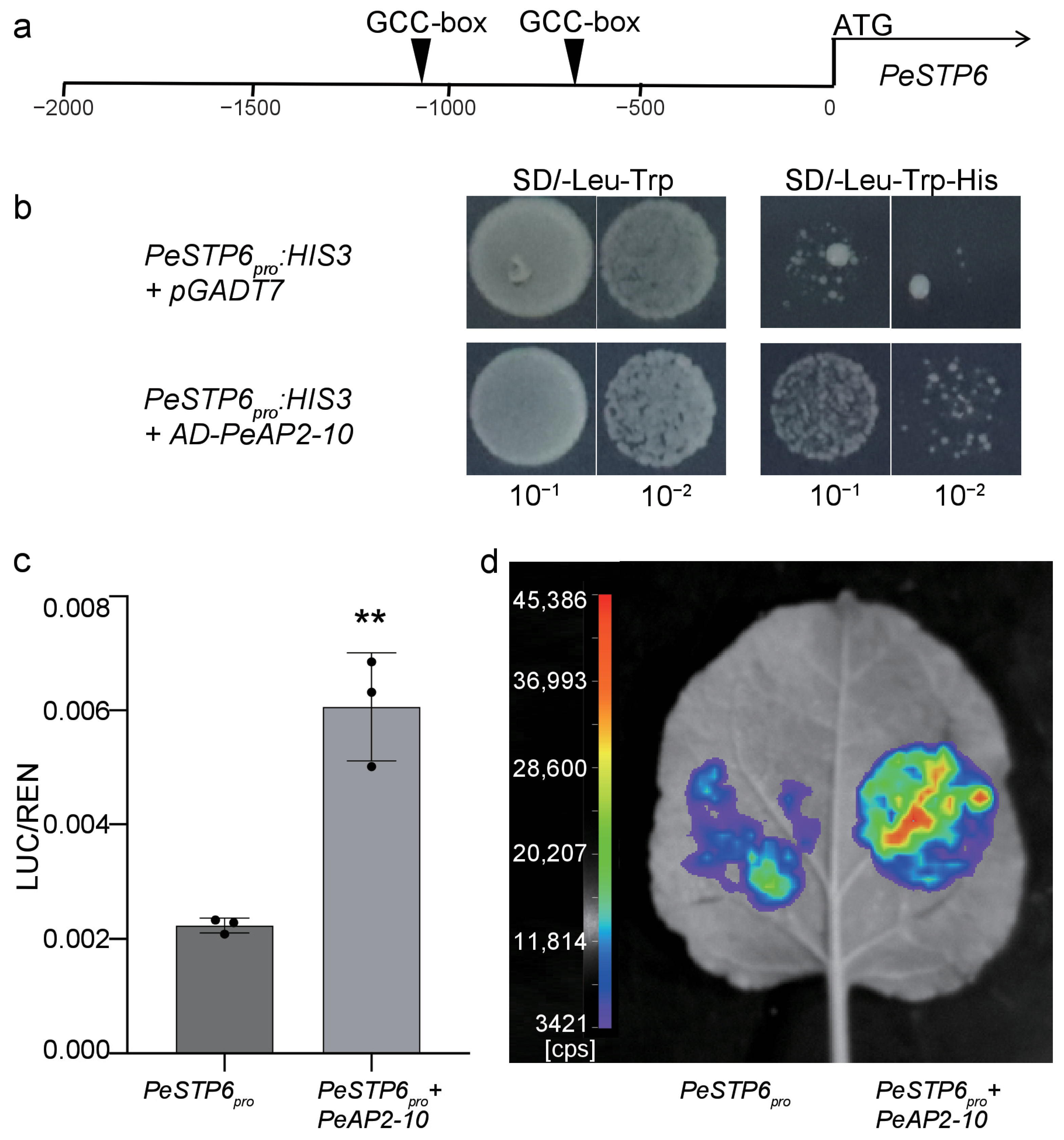 Plants 14 00645 g009