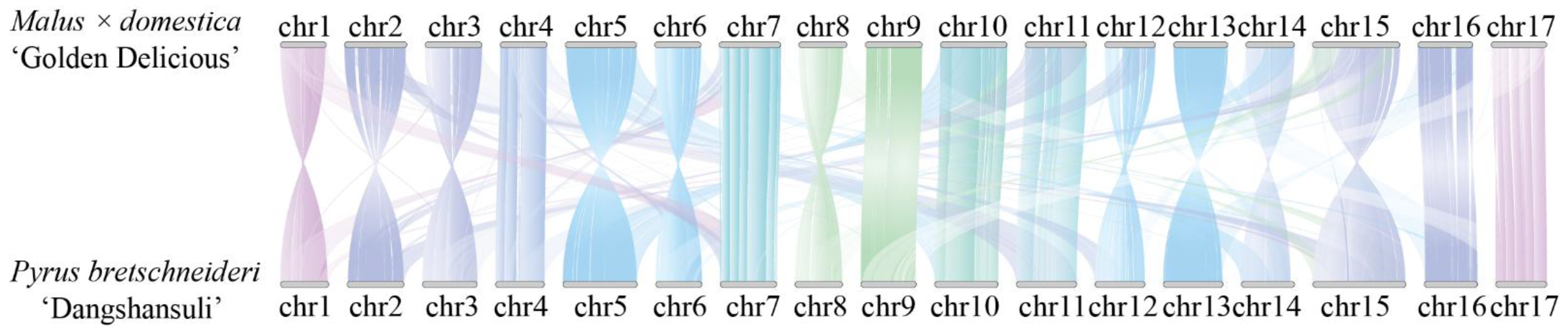 Plants 14 00646 g001