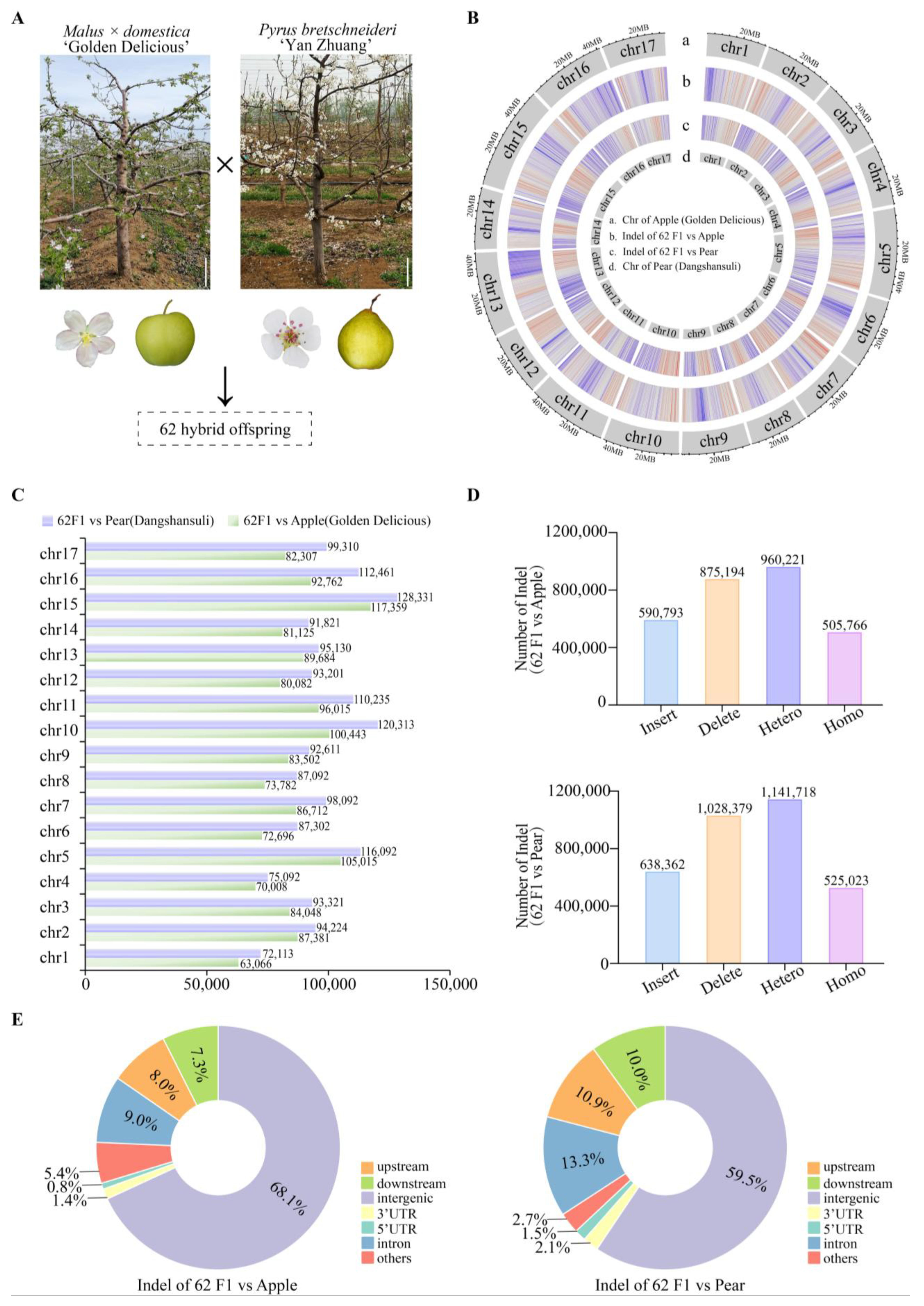 Plants 14 00646 g002