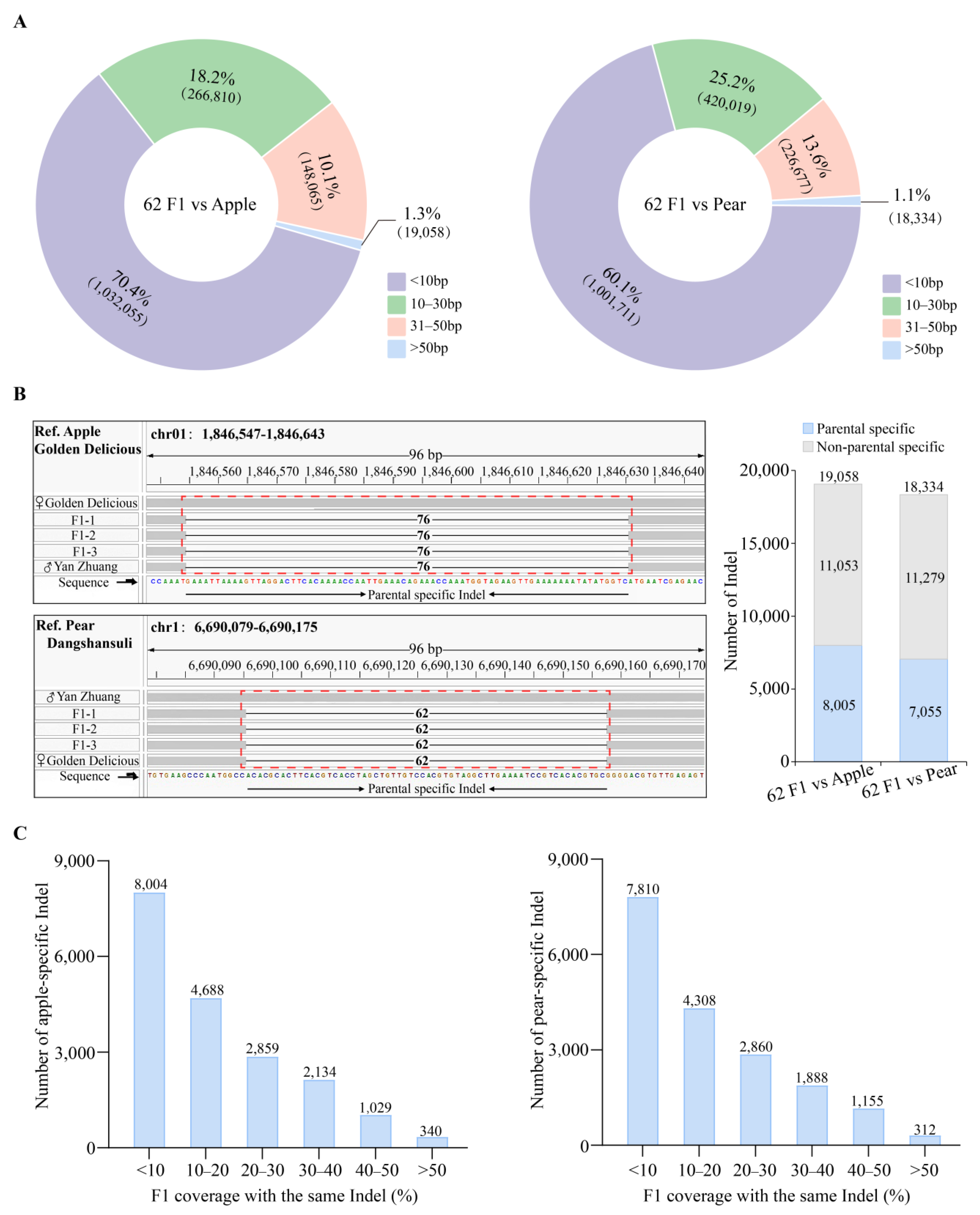Plants 14 00646 g003