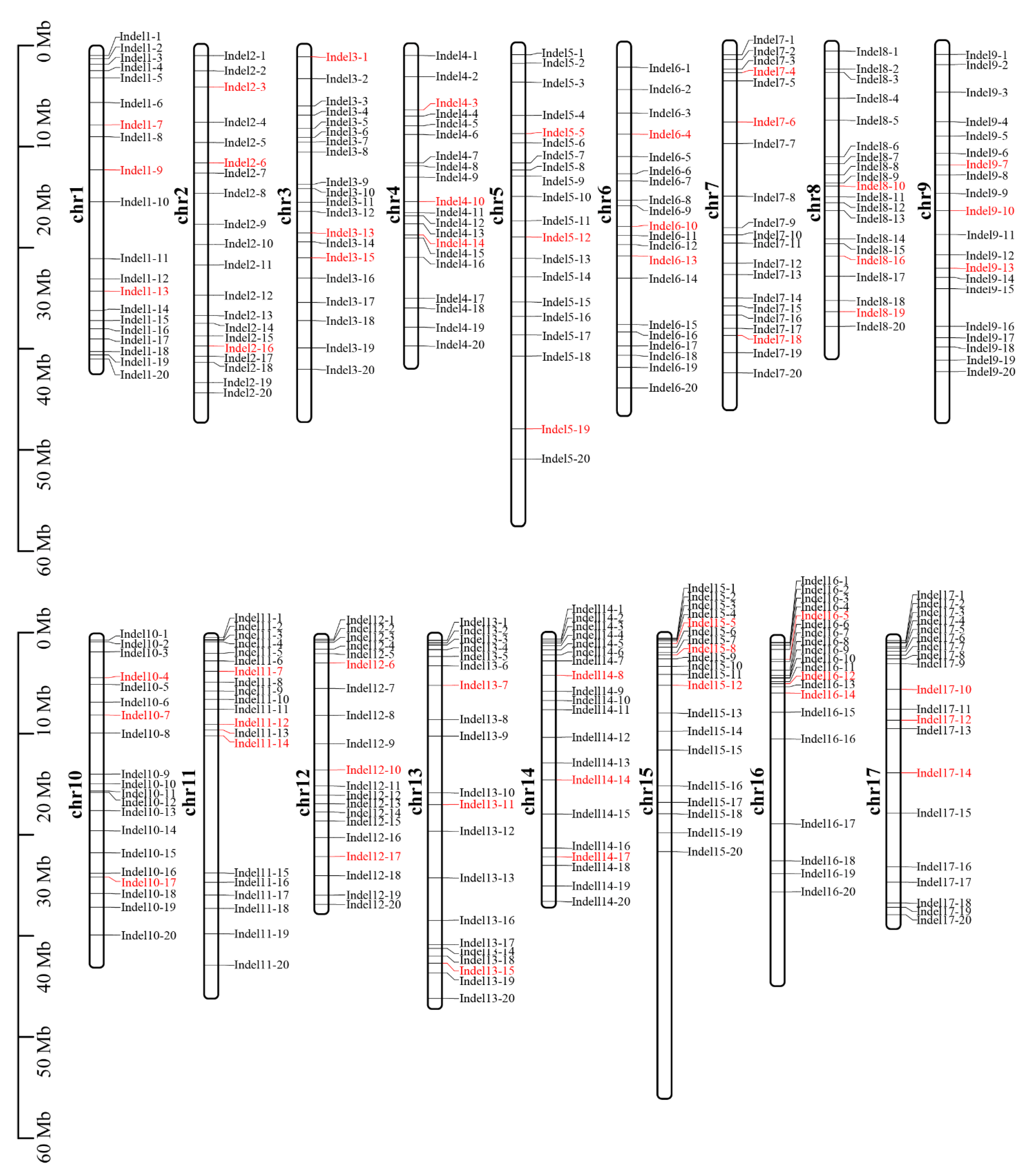 Plants 14 00646 g004