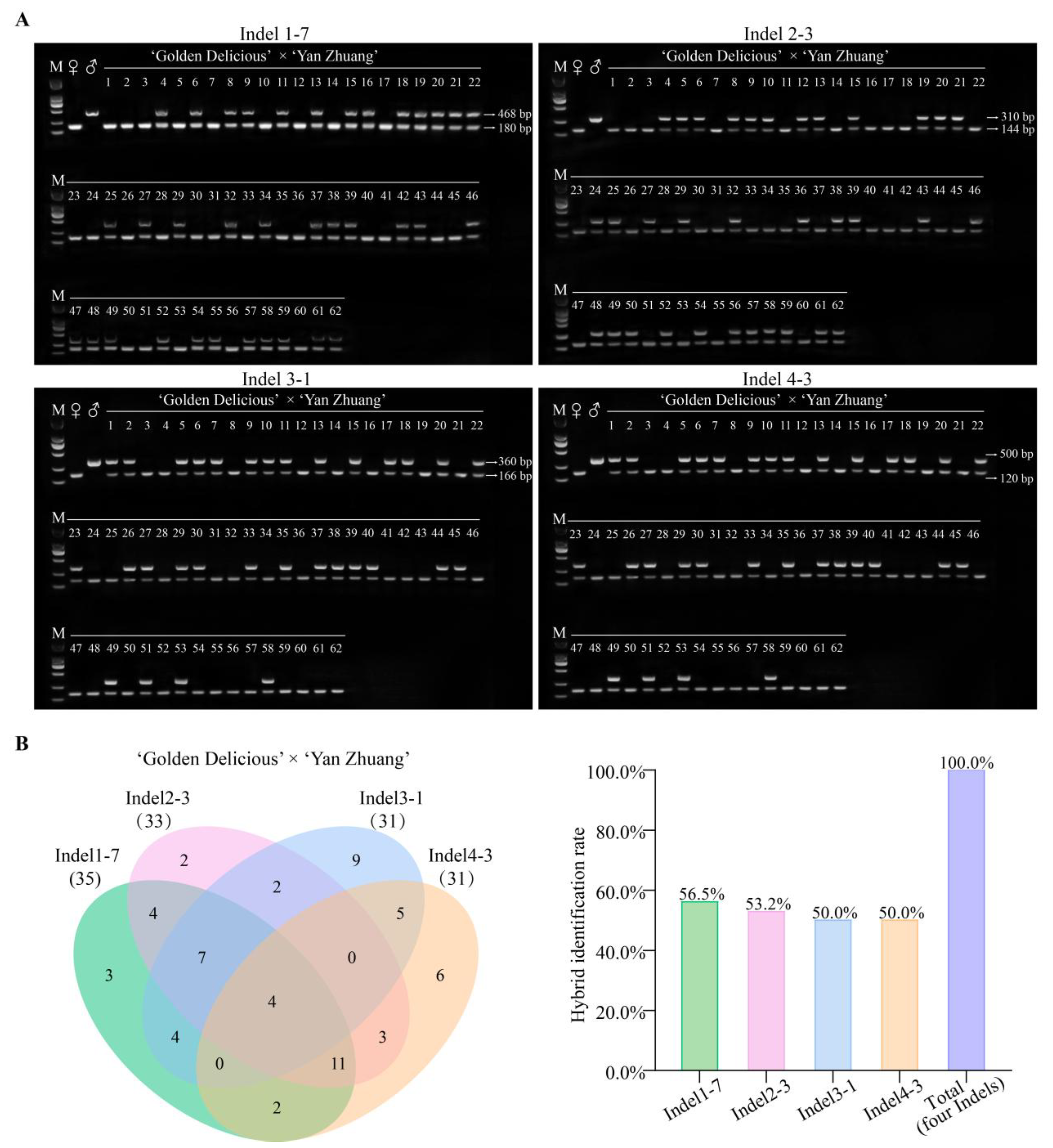 Plants 14 00646 g005