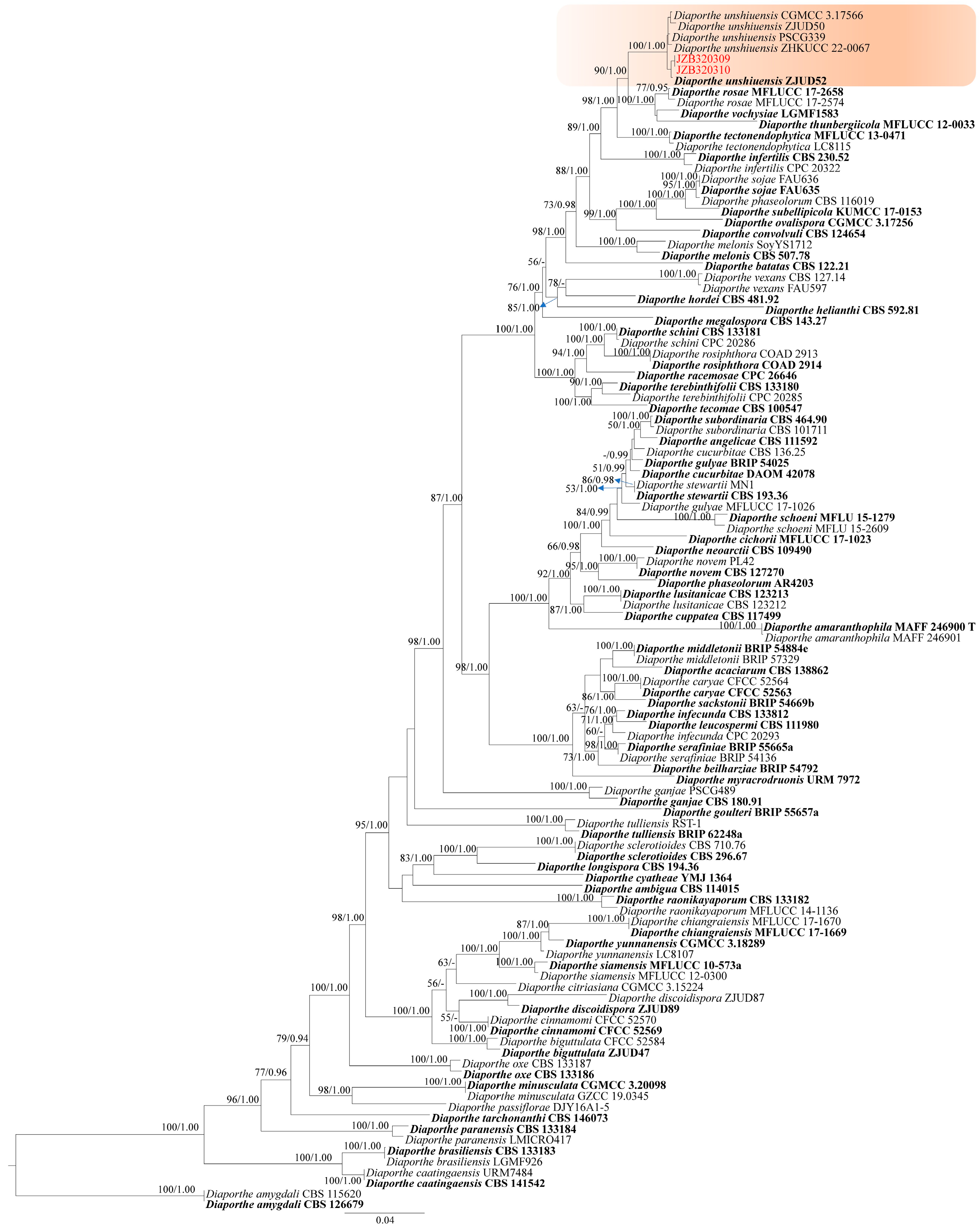 Plants 14 00647 g006