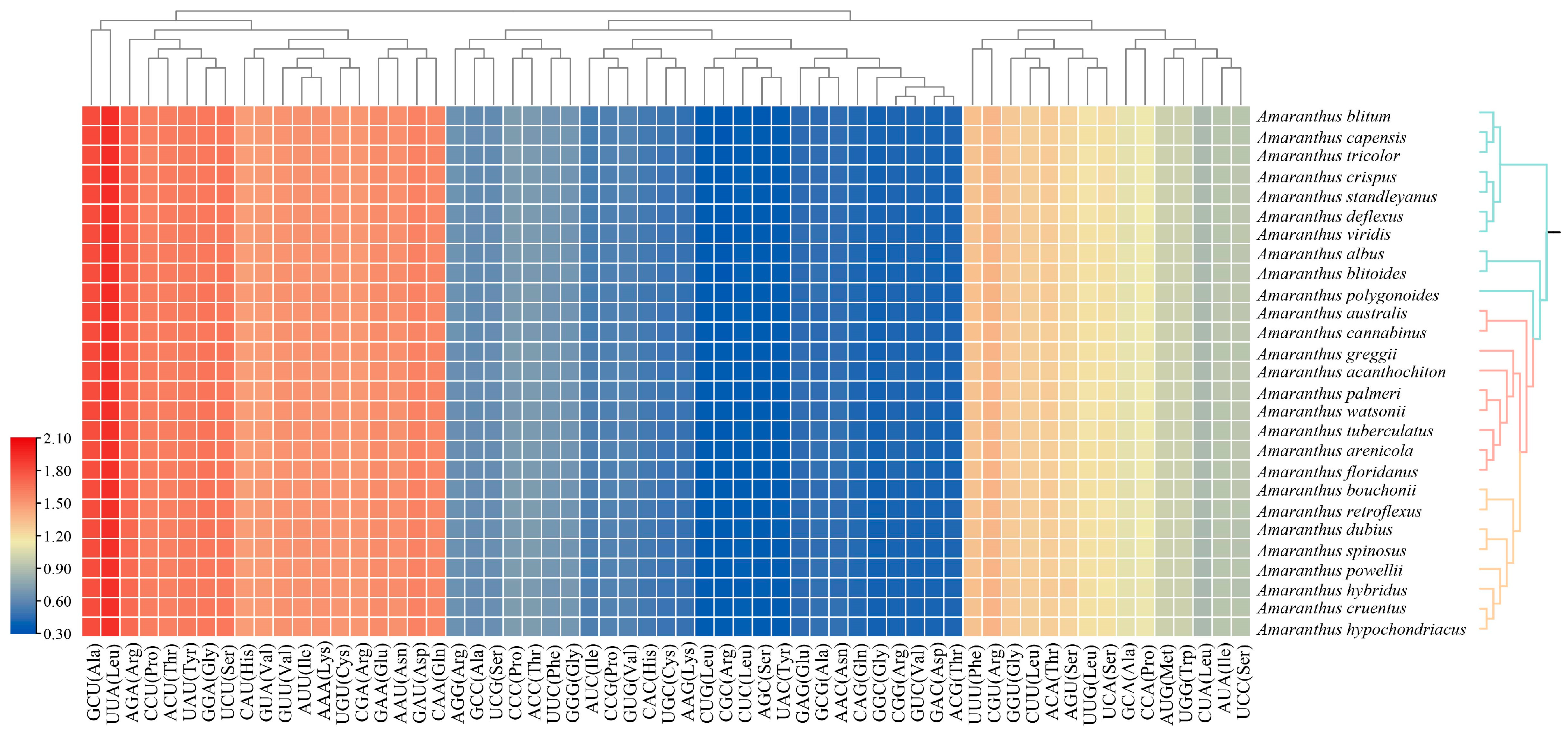 Plants 14 00649 g003