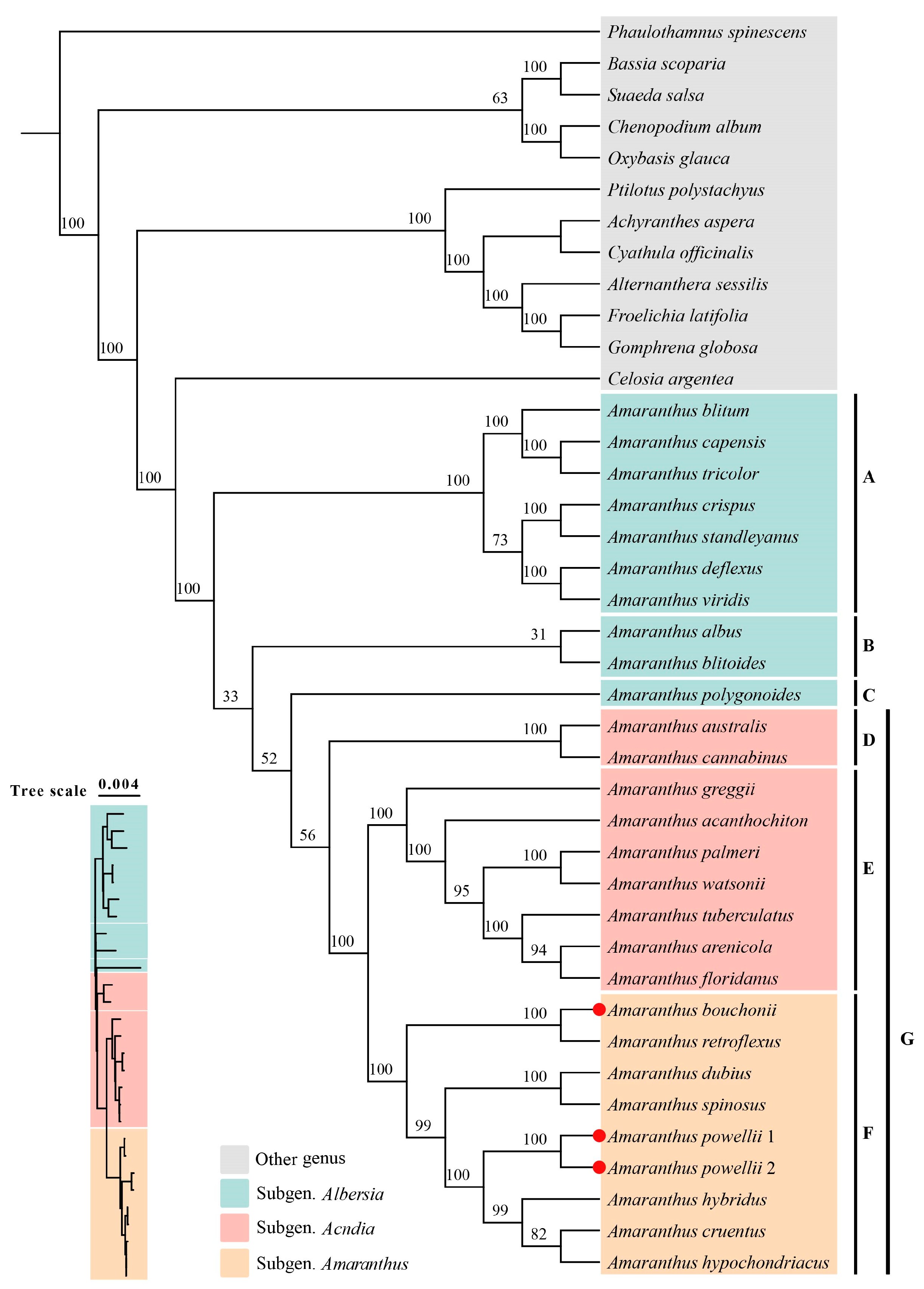 Plants 14 00649 g006