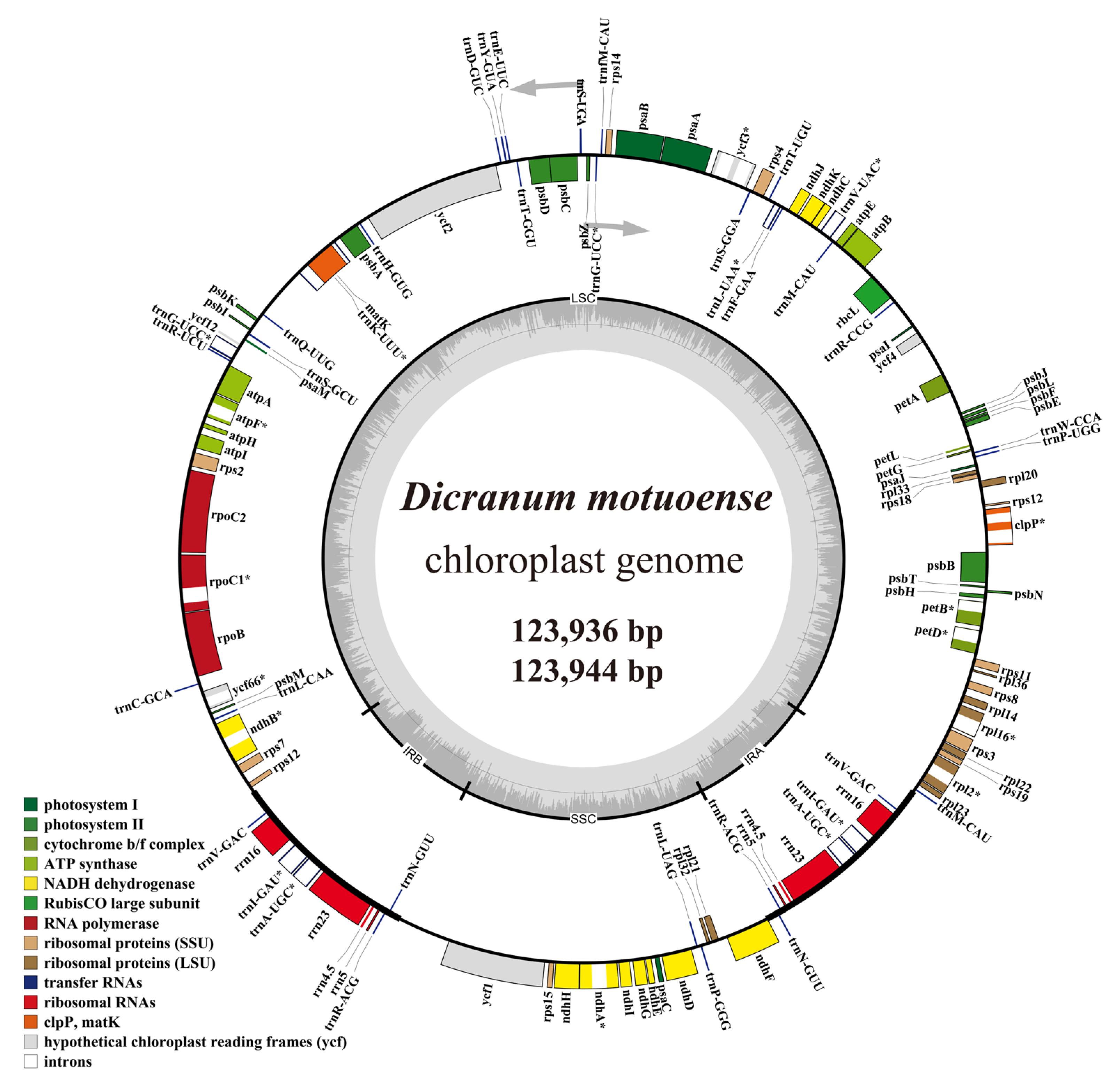 Plants 14 00650 g006 Plants 14 00650 g006