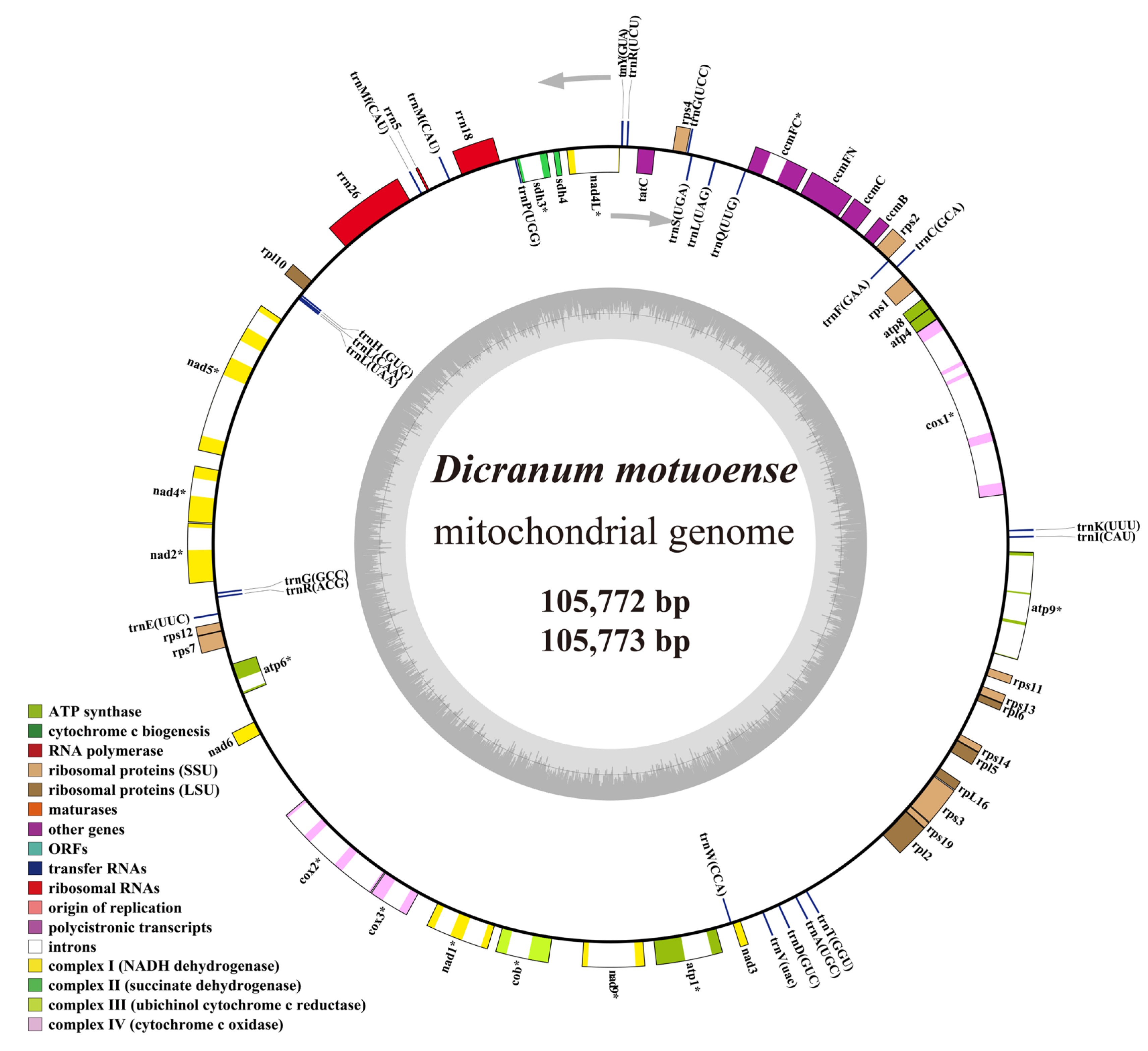 Plants 14 00650 g007 Plants 14 00650 g007