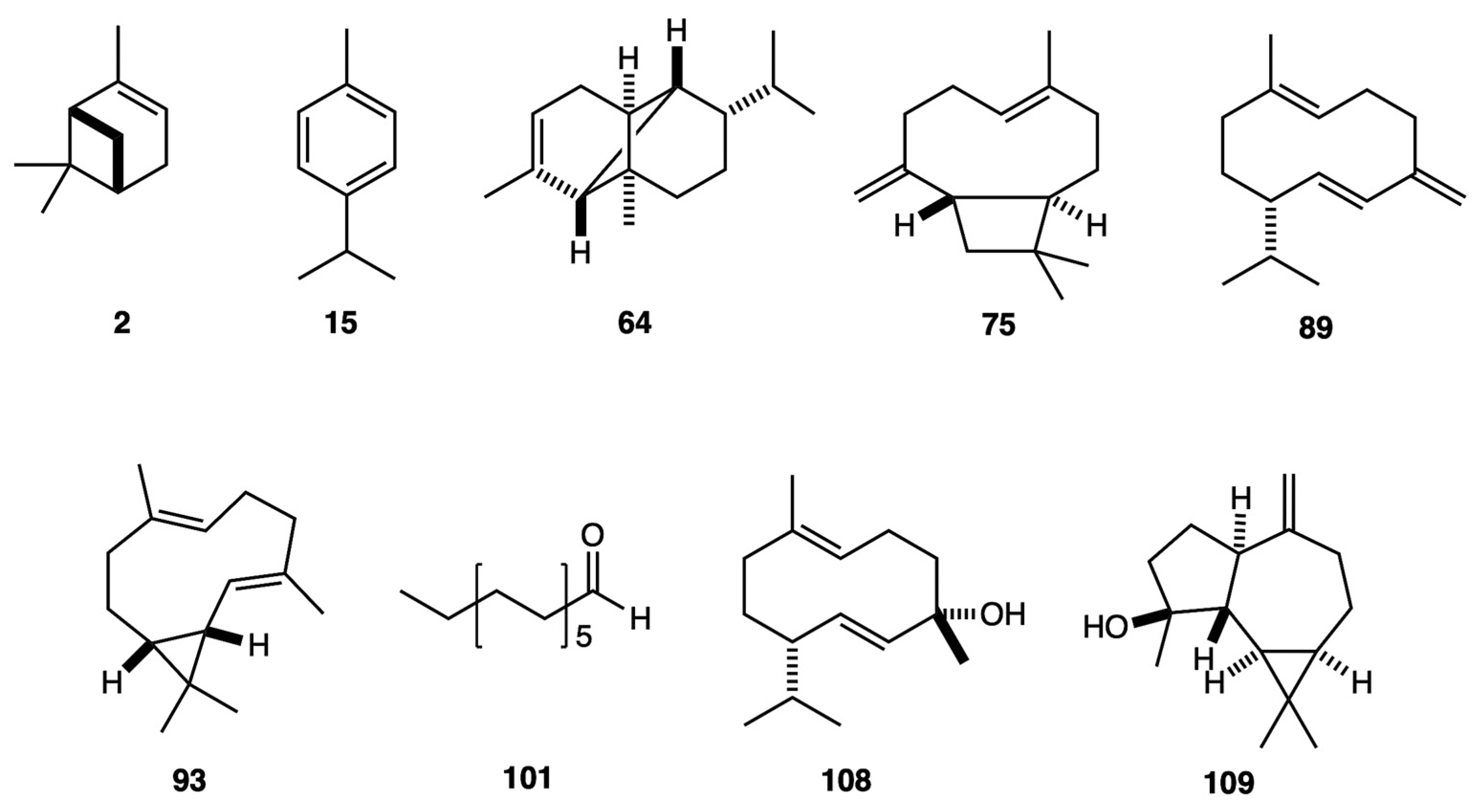 Plants 14 00659 g003