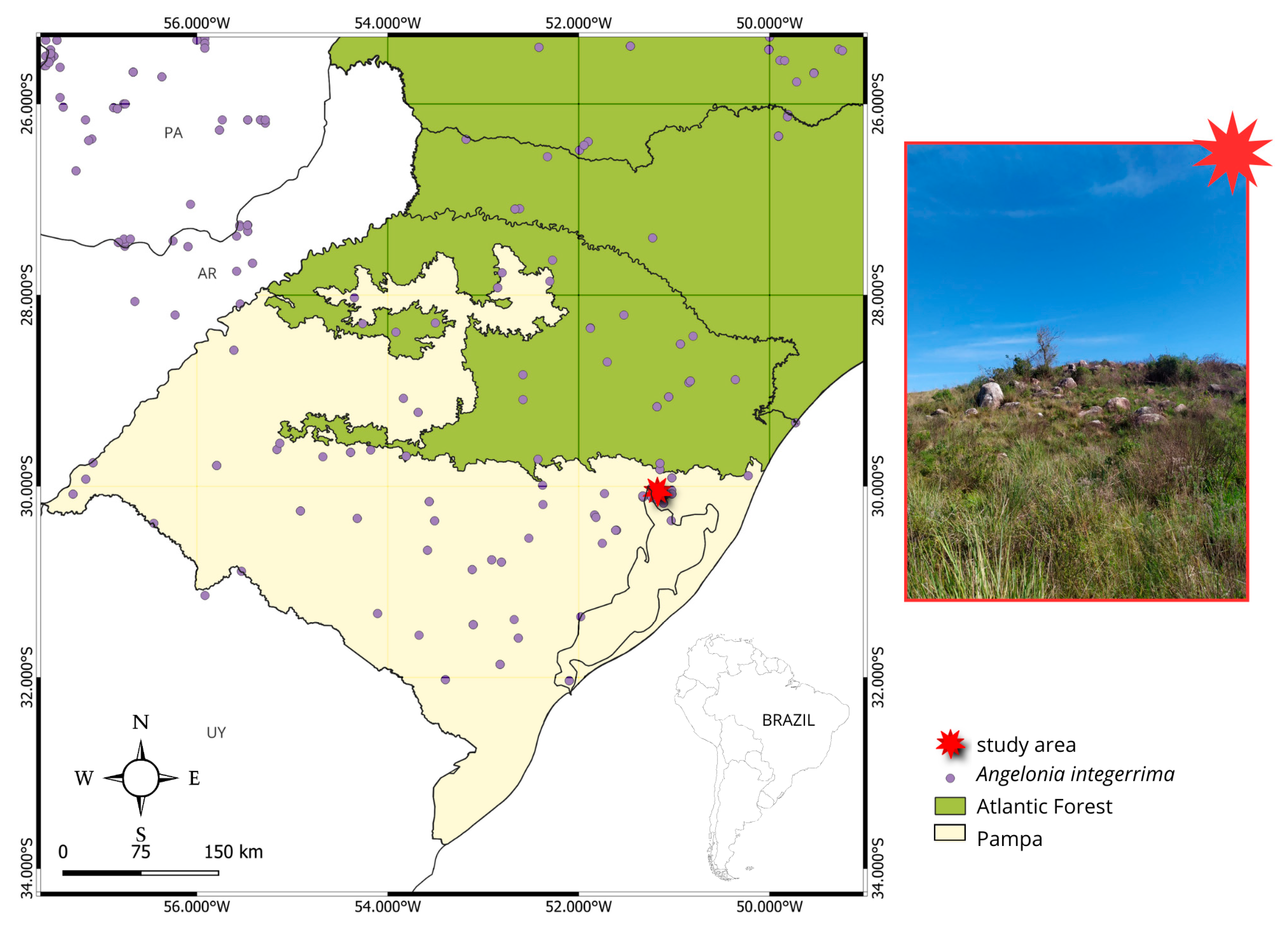 Plants 14 00663 g006 Plants 14 00663 g006