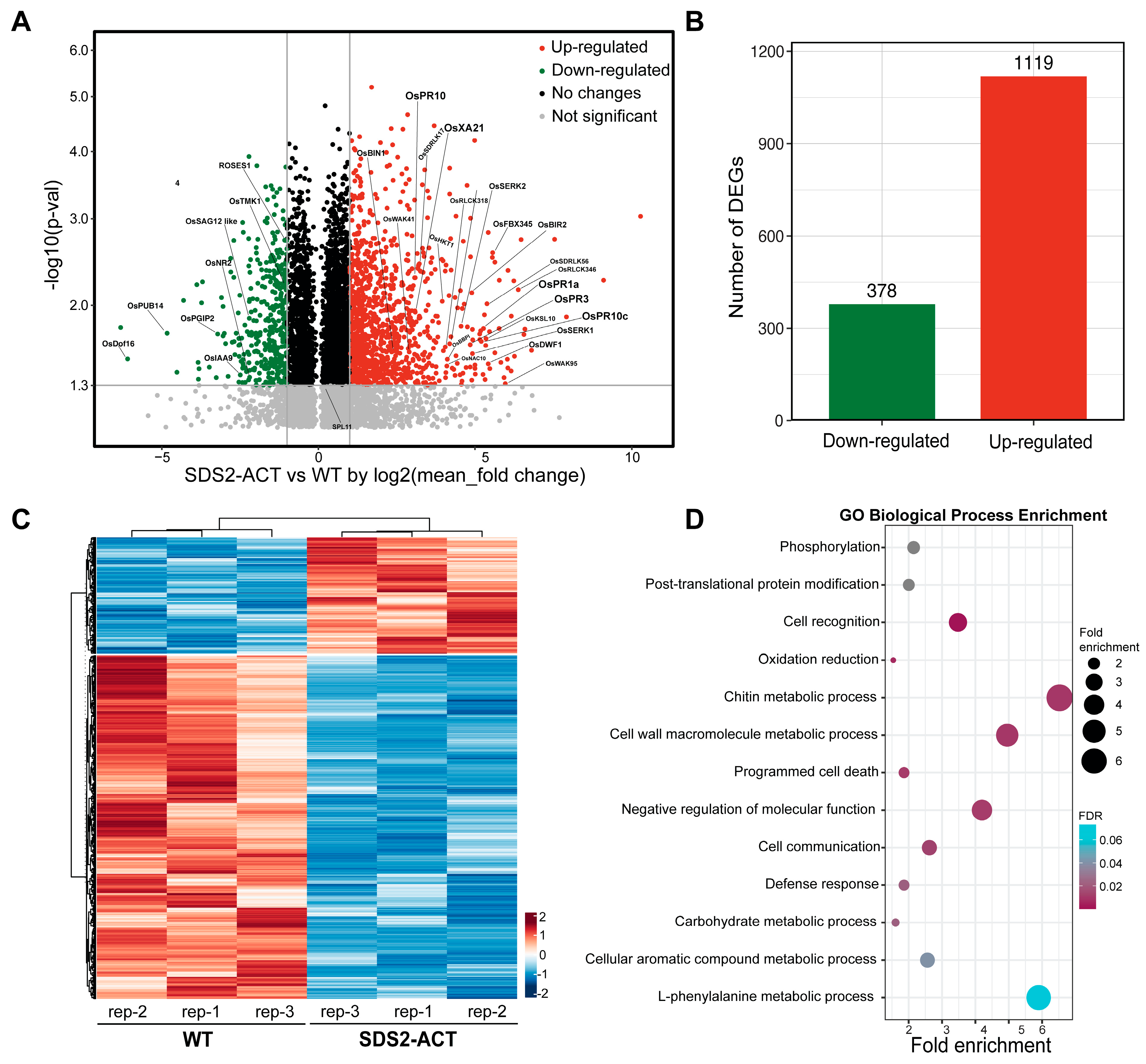 Plants 14 00665 g001