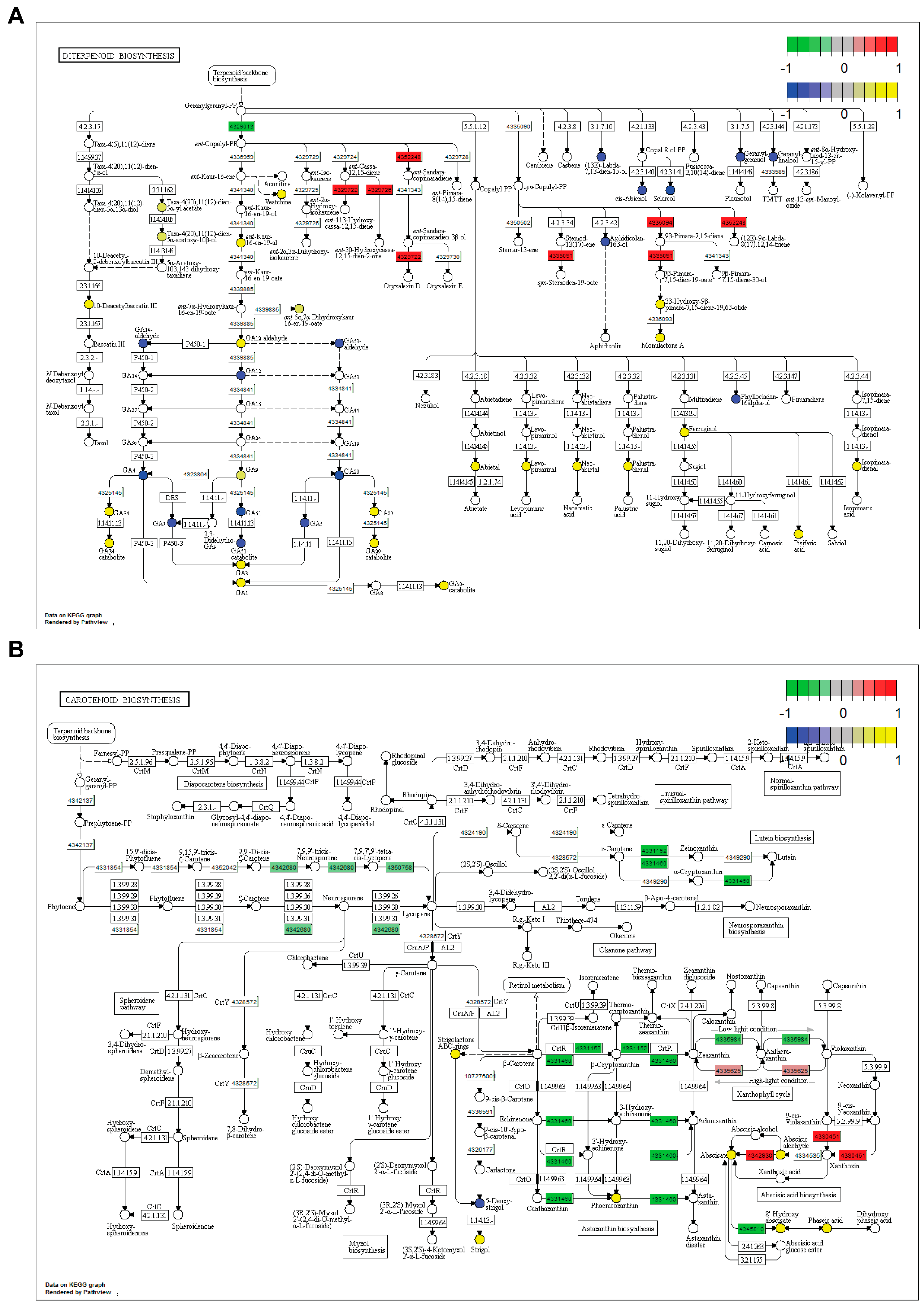 Plants 14 00665 g005