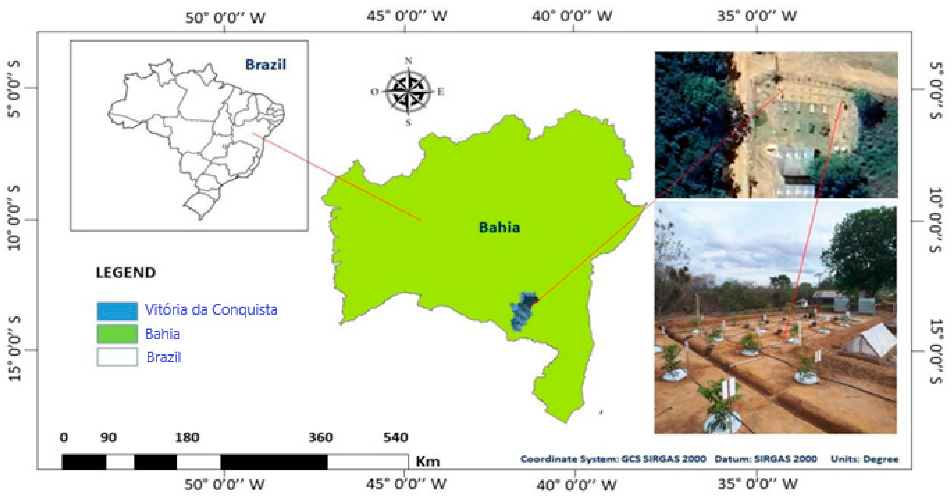 Plants 14 00666 g001