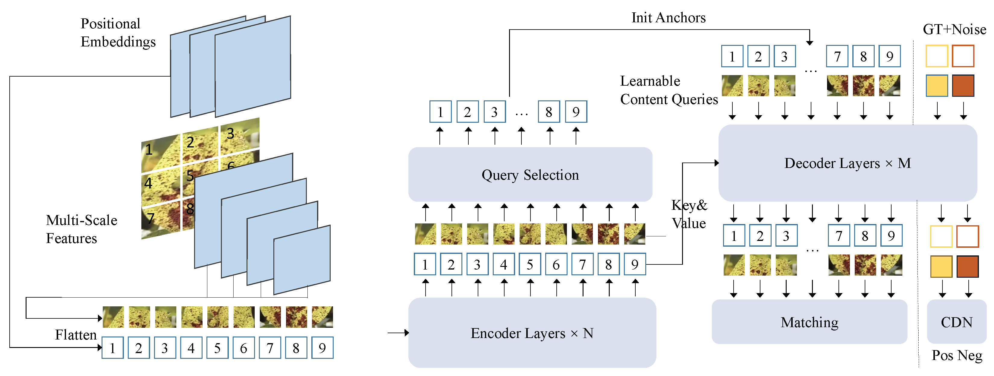 Plants 14 00675 g003
