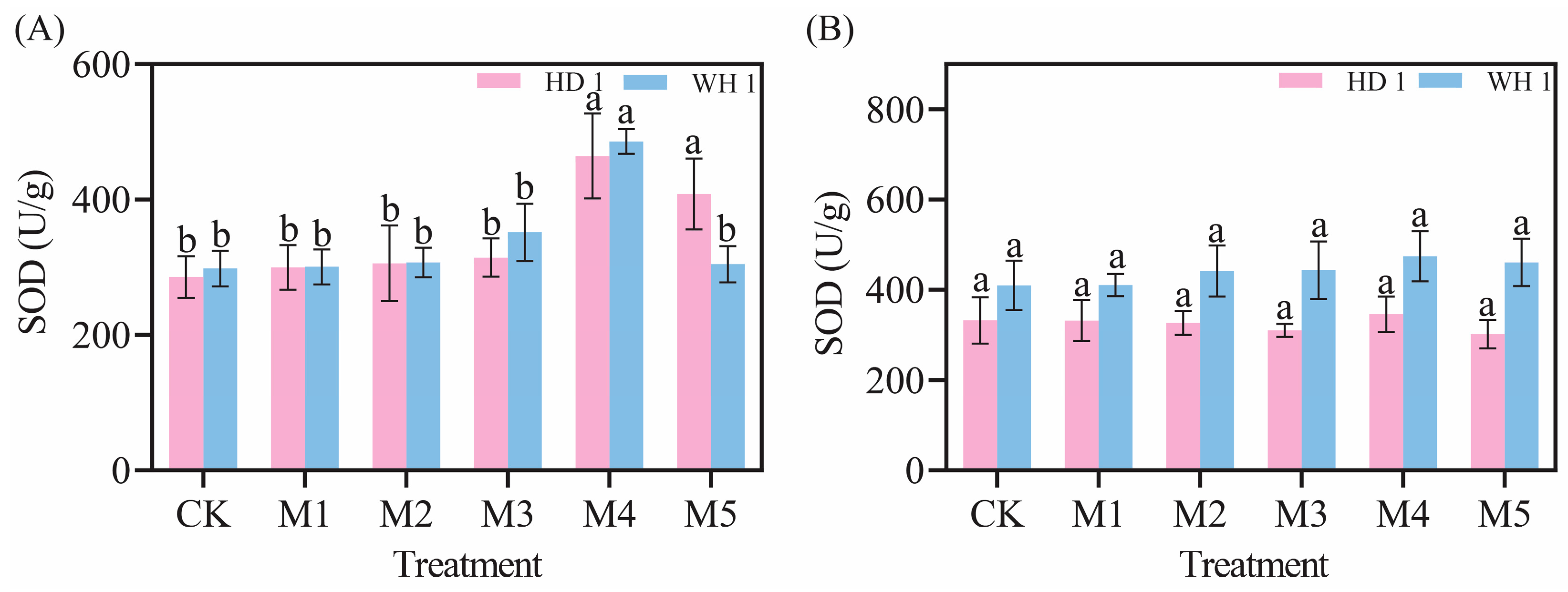 Plants 14 00676 g006